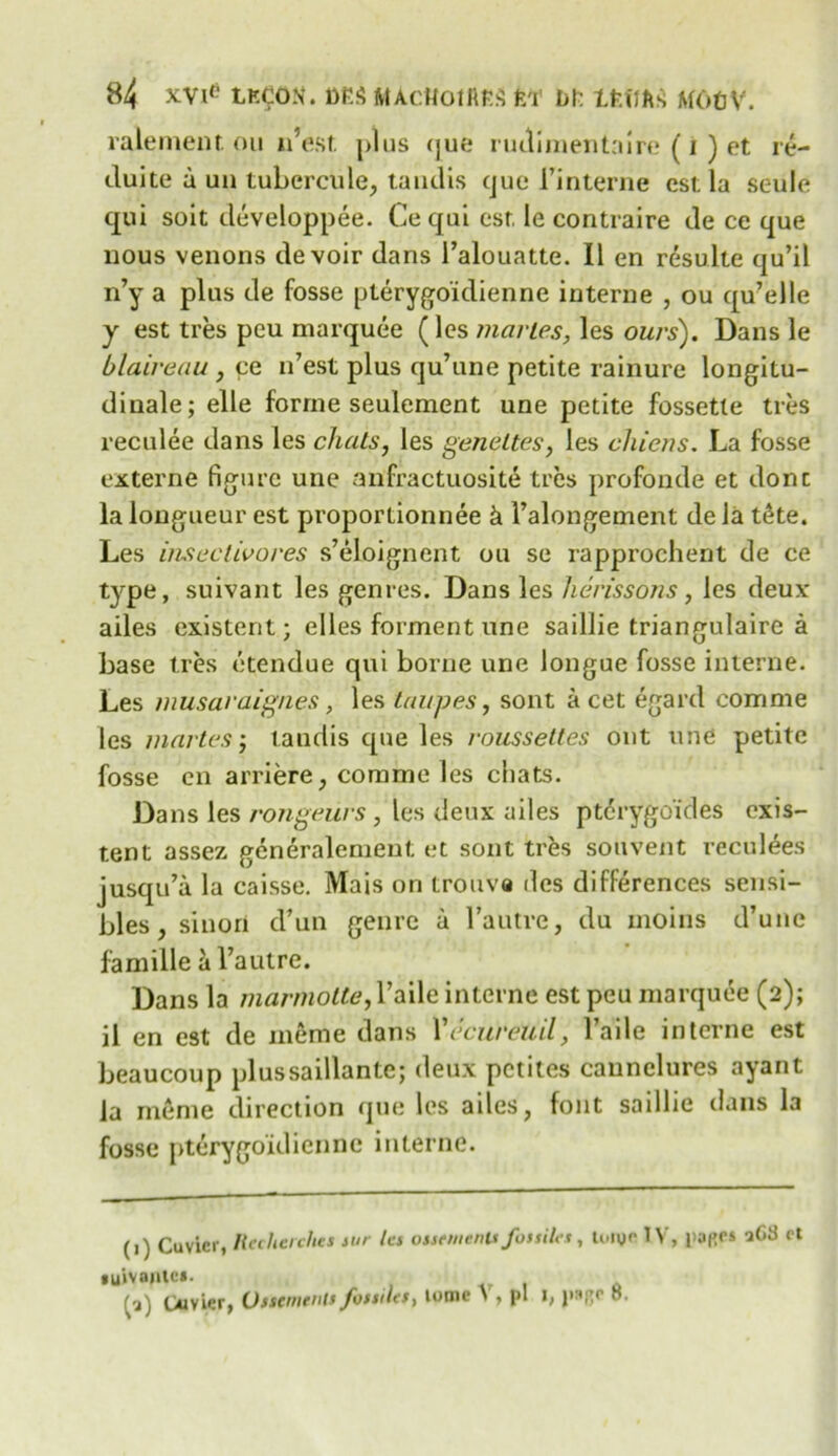 ralement on n’est plus que rudimentaire (i ) et re- duite a un tubcrcule, tandis que l’interne estla seiile qui soit developpee. Ce qui esr, le contraire de ce que nous venons devoir dans i’alouatte. II en resulte qu’il n’y a plus de fosse pterygoidienne interne , ou qu’elle y est tres peu marquee (les marles, les ours). Dans le blaireau , pe n’est plus qu’une petite rainure longitu- dinale; elle forme seulement une petite fossetle tres reculee dans les chats, les geneltes, les chiens. La fosse externe figure une anfractuosite tres profonde et done la longueur est proporlionnee & 1’alongement de la tete. Les iusectivores s’eloignent ou se rapprochent de ce type, suivant les genres. Dans les lierissons, les deux ailes existent; elles forment une saillie triangulaire a base tres etendue qui borne une longue fosse interne. Les musaraignes, les taupes, sont a cet egard comme les martes j tandis que les roussettes out une petite fosse en arriere, comme les chats. Dans les rongeurs , les deux ailes ptcrygoides exis- tent assez generalement et sont tres souvent reculees jusqu’a la caisse. Mais on trouva des differences sensi- bles, sinori d’un genre a l’autre, du moins d’unc famille a l’autre. Dans la marmotte, l’aile interne est peu marquee (2); il en est de meme dans X ecureuil, l’aile interne est beaucoup plussaillante; deux petites cannelures ayant la meme direction que les ailes, font saillie dans la fosse pterygoidienne interne. (1) Cuvier, Reclierches sur les otstmenlt fossiks, toipelV, rapes ?G3 et tuivaute*. fa) Cuvier, Usscmenis fossiles, tome t , |>1 I, j'*fje o.