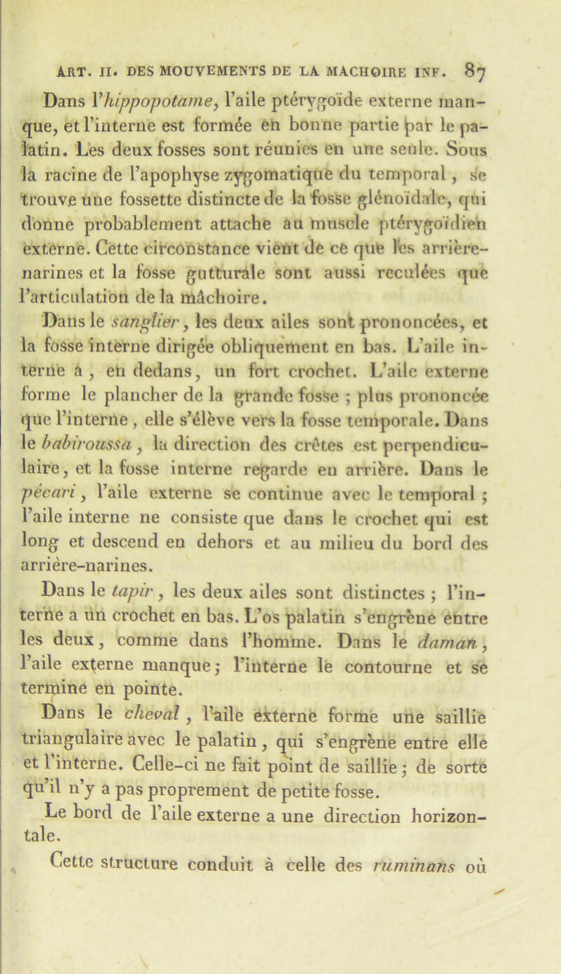 Dans Yhippopotame, l’aile pterygoide externe man- que, etl’interne est formde 6n bonne partie jtar le pa- latin. Les deux fosses sont reuuies en une sen le. Sous la racine de l’apophyse zygomatique du temporal, se trouve une fossettc distinctede la fosse glenoidale, qni donne probablement attache au muscle pt^rygoidien externe. Cette circonstance vient de ce que les arriere- narines et la fosse gutturale sont aussi reculees que l’articulation de la raSchoire. Dans le santier, les deux ailes sont prononc£es, et la fosse interne dirigee obliquement en bas. L’aile in- terne a , eh dedans, un fort crochet. L’aile externe forme le plancher de la grande fosse ; plus prononc6e que I’interne , elle s’eleve vers la fosse teniporale. Dans le babwoussa, la direction des crates est perpendicu- laire, et la fosse interne regarde en arriere. Dans le pecan , l’aile externe se continue avec le temporal ; l’aile interne ne consiste que dans le crochet qui est long et descend en dehors et au milieu du bord des arriere-narines. Dans le tapir, les deux ailes sont distinctes ; l’in- terne a tin crochet en bas. L’os palatin s’engrene entre les deux, comme dans 1’homme. Dans le daman, 1 aile externe manque; l’interne le contourne et se termine en pointe. Dans le cheval, l’aile externe forme une saillie triangulaire avec le palatin, qui s’engrene entre elle et l’interne. Celle-ci ne fait point de saillie ; de sorte qu’il n’y a pas proprement de petite fosse. Le bord de l’aile externe a une direction horizon- tale. Cette structure conduit a celle des ruminans ou
