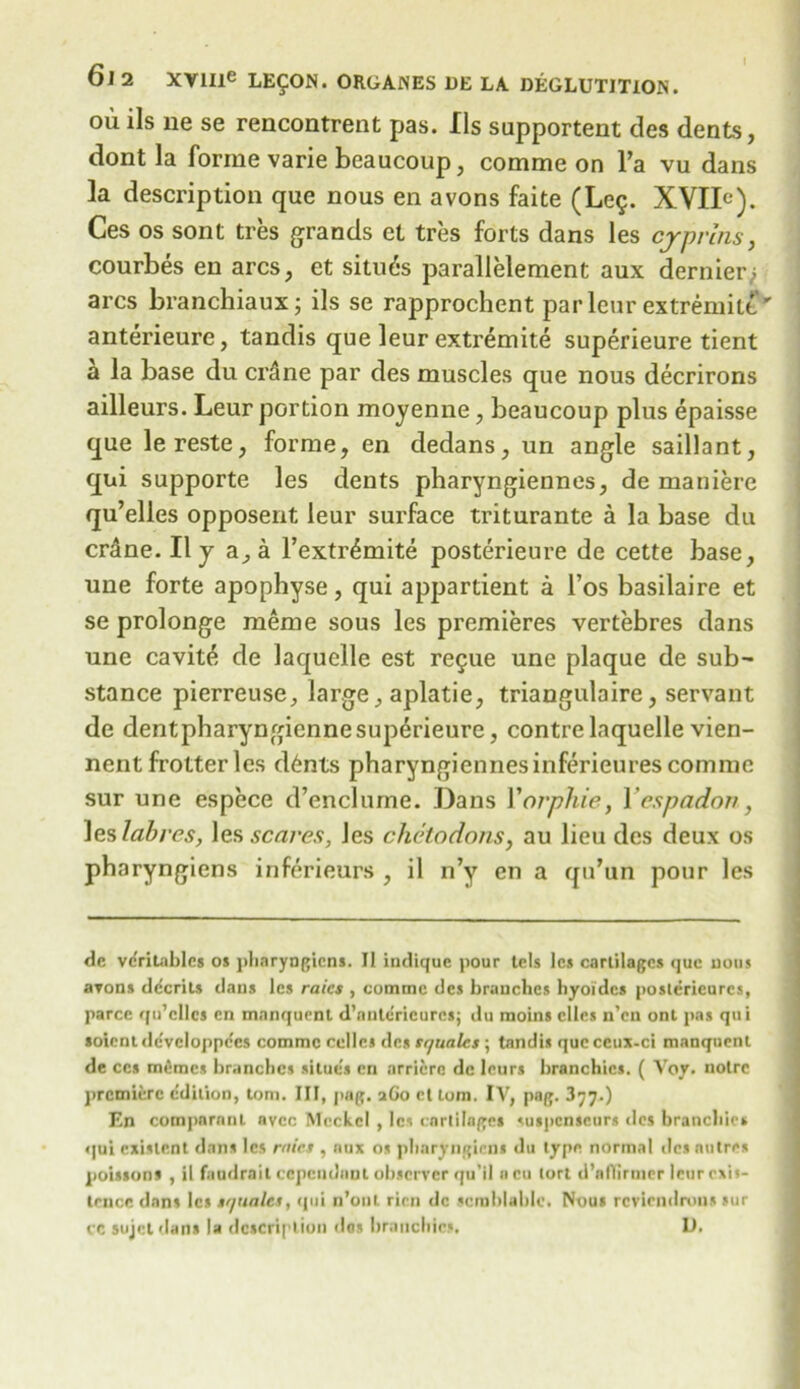 ou ils ne se rencontrent pas. Ils supportent des dents, dont la forme varie beaucoup, comme on l’a vu dans la description que nous en avons faite (Leg. XVIIC). Ces os sont tres grands et tres forts dans les cyprins, courbes en arcs, et situ6s parallelement aux dernier,; arcs branchiaux; ils se rapprochent parleur extremite’' anterieure, tandis que leur extremite superieure tient a la base du crfme par des muscles que nous decrirons ailleurs. Leur portion moyenne, beaucoup plus epaisse que le reste, forme, en dedans, un angle saillant, qui supporte les dents pharyngiennes, de maniere qu’elles opposent leur surface triturante a la base du cr&ne. II y a, a l’extr^mite posterieure de cette base, une forte apophyse, qui appardent a l’os basilaire et se prolonge meme sous les premieres vertebres dans une cavite de laquelle est regue une plaque de sub- stance pierreuse, large, aplatie, triangulaire, servant de dentpharyngienne superieure, contre laquelle vien- nentfrotterles d6nts pharyngiennesinferieures comme sur une espcce d’enclume. Dans Yorphie, Yespadon, les lab res, les scares, les chetodons, au lieu des deux os pharyngiens inferieurs , il n’y en a qu’un pour les de vc'ritables os pharyogicns. II indique pour tels les cartilages que uous avons dicrits dans les rates , comme des branches hyoidcs poslerieurcs, parce qu’cllcs en manquenl d’nutericurcsj du moins dies n’en ont pas qui soicntdevcloppe'es comme celles des squalcs; tandis qucccux-ci manquenl de ces mimes branches situc's en nrriero de lours branchics. ( Voy. noire premiere edition, tom. Ill, pag. aGo clloni. IV, pag. 377.) En compnranl avee Meckel , les cartilages suspcnscurs des branchics qui existent dans les rates , aux os pharyngiens du type normal des nutres poissons , il faudrait cependanl observer qu’il acu tort d’allirmer leurrxii- tcncc dans les sr/uales, qui n’onl ricn dc scmblablc. Nous reviendrons sur cc sujel flans la description dos branchics. D.