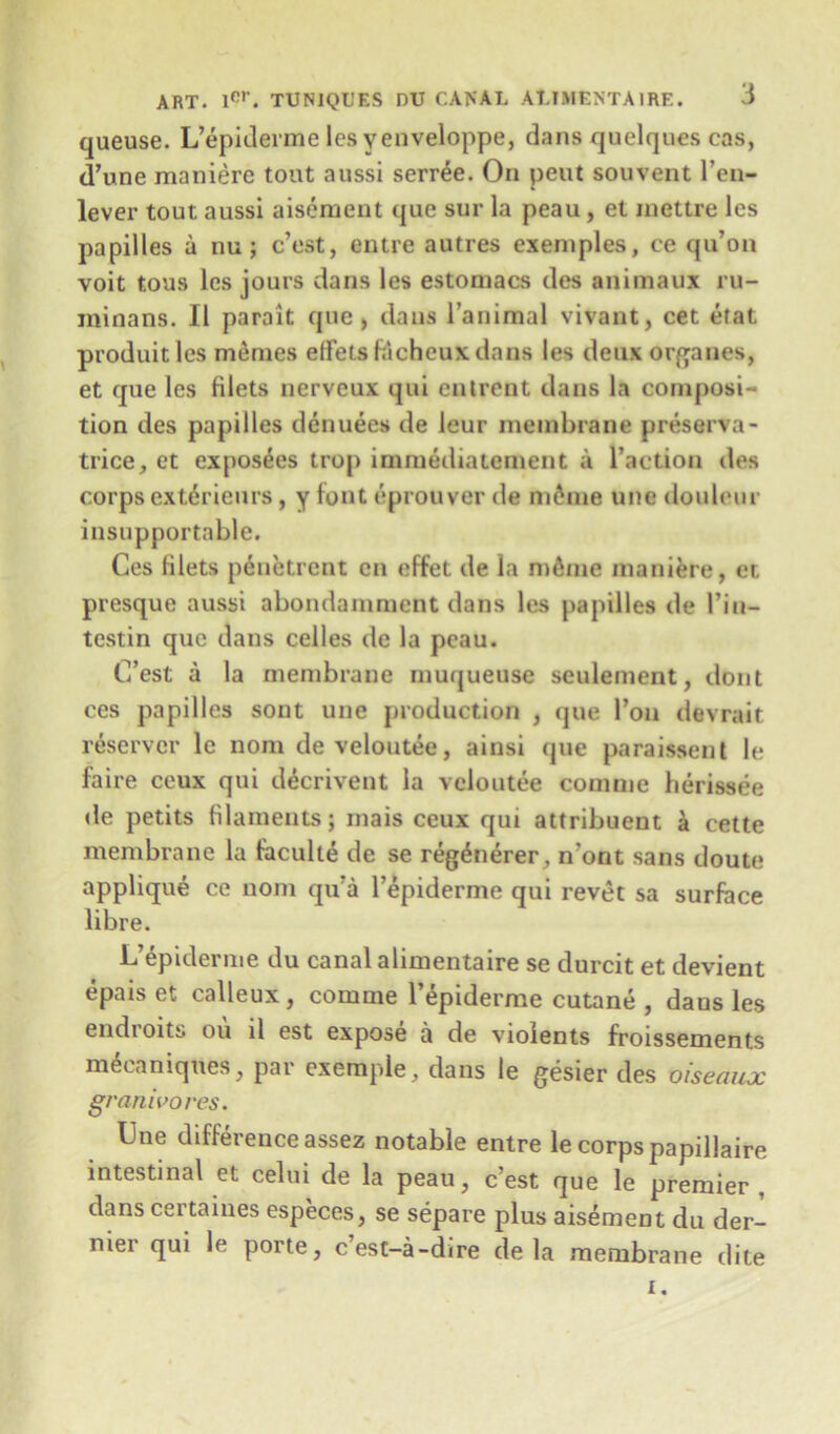 queuse. L’epiderme les yenveloppe, dans quelques cas, d’une maniere tout aussi serree. On peut souvent Ten- lever tout aussi aisement que sur la peau, et mcttre les papilles a nu; c’est, entre autres exeniples, ce qu’on voit tous lcs jours dans les estomacs des animaux ru- ininans. II parait que, dans Tanimal vivant, cet etat produitles memes etfetsfacheuxdans les deux organes, et que les filets nerveux qui entrent dans la composi- tion des papilles denuees de leur membrane preserva- trice, et exposees trop immediatement a Taction des corpsext6rieurs, y font eprouver de m6me une douleur insupportable. Ces filets penetrent cn effet de la n>6me maniere, er. presque aussi abondammcnt dans les papilles de Tin— testin que dans celles de la peau. C’est a la membrane muqueuse settlement, dont ces papilles sont une production , (jue Ton devrait reservcr le nom develoutee, ainsi que paraissent le faire ceux qui d6crivent la veloutee comme herissee de petits filaments; mais ceux qui attribuent a cette membrane la faculte de se reg^nerer, n’ont sans doute applique ce nom qu’a Tepiderme qui revet sa surface libre. L’epiderme du canal alimentaire se durcit et devient epais et calleux, comme Tepiderme cutane , dans les endroits ou il est expose a de violents froissements mecaniques, par exemple, dans le gesier des oiseaux granivores. Une difference assez notable entre le corps papillaire intestinal et celui de la peau, c’est que le premier dans certaines especes, se separe plus aisement du der- nier qui le porte, c’est-a-dire de la membrane dite f.