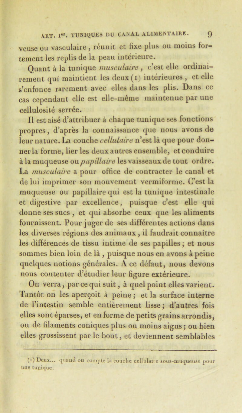 veuse ou vasculaire , reuuit et fixe plus ou moins for- tement les repliscle la peau interieure. Quant a la tunique musculaire , c’est elle ordiuai- rement qui maintient les deux (i) iuterieures , et elle s’enfonce rarement avec elles dans les plis. Dans ce cas cependant elle est elle-mdme maiuteuue par une cellulosile serree. II est ais6 d’attribuer a chaque tunique ses fonctions propres, d’apres la conuaissauce que nous avons de lcur nature. La couclie cellulaire n’est la que pour don- nerla forme, lier les deuxautres ensemble, etconduire a la muqueuse oupapillaire les vaisseauxde tout ordre. La musculaire a pour office de contracter le canal et de lui imprimer son rnouvement vermiforme. C’est la muqueuse ou papillaire qui est la tunique intestiuale et digestive par excellence, puisque c’est elle qui doune ses sues , et qui absorbe ceux que les aliments fournissent. Pourjugerde ses differeutes actions dans les diverses regions des animaux , il faudrait connaitre les differences de tissu iutime de ses papilles; et nous sommes bieu loin de la , puisque nous en avons a peine quelques notions generales. A ce defaut, nous devons nous coutenter d’etudier leur figure exterieure. On verra, par cequi suit, a quel point elles varient. Tantot ou les aper^oit a peine; et la surface interne de 1’intestin semble entiereinent lisse; d’autres fois elles sont eparses, et en forme de petits grains arrondis, ou de filaments coniques plus ou moins aigus; ou bien elles grossissent par le bout, et deviennent semblables (0 Deus... i[:iuiul ou coiiijtle lu couclie cellulaire sous-muqueusc pour uue tunique.