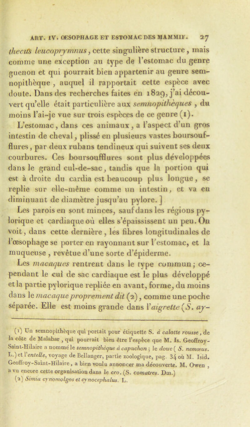 theciCs leucoprymnus, ceite singrdiere structure , mais comme une exception au type de l’estomac du genre guenon et qui pourrait bien appartenir au genre sem- nopitheque , auquel il rapportait cette espece avec doule. Dans des recherches faites en 1829, j’ai d6cou- vert qu’elle £tait particuliere aux sernnopitheques , du moins l’ai-je vue sur trois cspeces de ce genre (1). L’estomac, dans ces animaux , a l aspect d’un gros intestin de cheval, pliss^ en plusieurs vastes boursouf- flures, par deux rubans tendineux qui suiveut ses deux courbures. Ces boursoofflures sont plus developpees dans le grand cul-de-sac, tandis que In portion qui est a droite du cardia est beaucoup plus longue, se replie sur elle-unhne coniine un intestin, et va en diminuaut de diametre jusqu’au pylore. ] Les parois en sont minces, sauf dans les regions py- lorique et cardiaqueou elles s’epaississent un peu.Ou voit, dans cette derniere , les fibres loDgitudinales de l'cesopliage se porter en rayonnant sur l’estomac, et la nmqueuse , revetued’une sorte d'epiderme. Les macaques rentrent dans le type cummunj ce- pendant le cul de sac cardiaque est le plus developpe etla partie pylorique repliee en avant, forme^ du moins dans le macaque proprement dit (2), comme une poche separee. Elle est moins grande dans Vaigrette (S. ay- (1) Un semnopitbeque qui portaii pour etiquette S. a calotte rousse.de la cole de Malabar , qui pourrait bieu dire 1’espece que M. Is. GeofTroy- Saint-IIilairc a nommc le semnopitheque a capuchon ; le douc ( S. nemceus. L.) ct 1 entelle, voyage de Bellanger, partie zoologique, pag. 34 ou M. Isid. Geollioy-Saint-Hilaire, a bien voulu annoncer ma decouverte. M. Owen a vu encore cette organisation dans le cro. (S. comatres. Dm.) (a) Simla cynomolgos et crnocephalus. L.