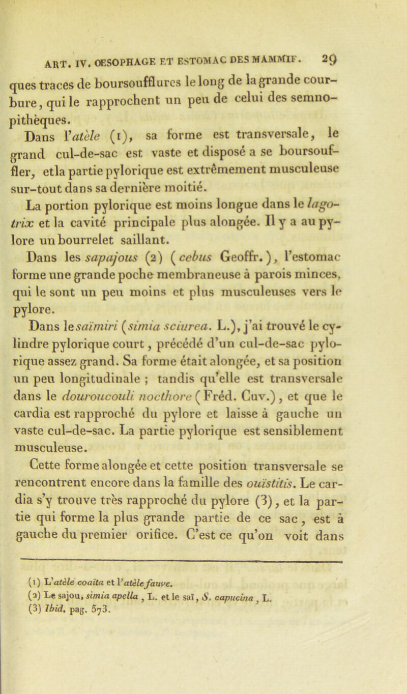 ques traces de boursoufflurcs le long de la grande cour- bure, qui le rapprochent un pen de telui des semno— pitheques. Dans Vatele (i), sa forme est transversale, le grand cul-de-sac est vaste et dispose a se boursouf- fler, etla partie pylorique est extrSmement musculeuse sur-tout dans sa derniere inoitie. La portion pylorique est moins longue dans le lago- trix et la cavite principale plus alongee. II y a au py- lore unbourrelet saillant. Dans les sapajous (2) (cebus Geoffr.), l’estomac forme une grande poche membraneuse a parois minces, qui le sont un pen moins et plus musculeuses vers le pylore. Dans \esaimiri (sirnia sciurea. L.), j’ai trouv4 le cy- lindre pylorique court, precede d’un cul-de-sac pylo- rique assez grand. Sa forme etait alongee, et sa position un peu longitudinale ; tandis qu’elle est transversale dans le douroiicouli. nocthore ( Fr&l. Cuv.), et que le cardia est rapproche du pylore et laisse a gauche un vaste cul-de-sac. La partie pylorique est sensiblement musculeuse. Cette forme alongee et cette position transversale se rencontrent encore dans la famille des ouistitis. Le car- dia s’y trouve tres rapproche du pylore (3), et la par- tie qui forme la plus grande partie de ce sac, est a gauche du premier orifice. C’est ce qu’on voit dans (1) h'atele coaila et I’atele fawe. (a) Le sajou, simia apella , L. et le sal, S. capucina , L. (3) Ibid, pag. 573.