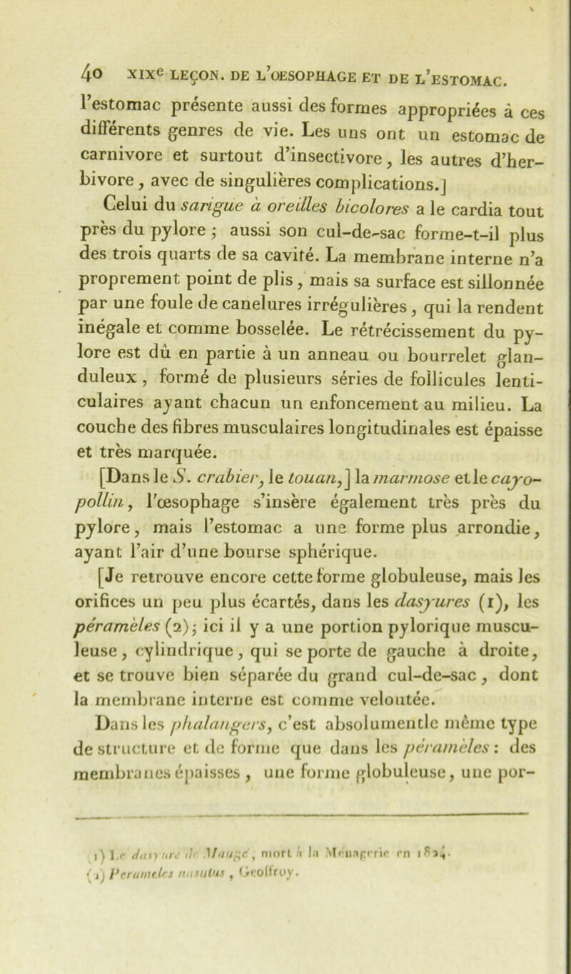 I’estomac presente aussi des formes appropri^es a ces diflferents genres de vie. Les uns ont un estomac de carnivore et surtout d’insectivore, les autres d’her- bivore , avec de singulieres complications.] Celui du sarigue a oreilles bicolores a le cardia tout pres du pylore ; aussi son cul-de-sac forme-t-il plus des trois quarts de sa cavite. La membrane interne n5a proprement point de plis, mais sa surface est sillonnee par une foule de canelures irregulieres , qui la rendent inegale et comme bosselee. Le retrecissement du py- lore est du en partie a un anneau ou bourrelet glan- duleux , forme de plusieurs series de follicules lenli- culaires ayant chacun un enfoncement au milieu. La couche des fibres musculaires longitudinales est epaisse et tres marquee. [Dans le S. crabier} le touan, j la mannose etle cayo- pollin, l'cesophage s’insere egalement tres pres du pylore, mais Testomac a line forme plus arrondie, ayant l’air d’une bourse spherique. [Je retrouve encore cette forme globuleuse, mais les orifices un peu plus ecartes, dans les dasyures (r), les perameles (2); ici il y a une portion pylorique muscu- leuse , cylindrique, qui se porte de gauche a droite, et se trouve bien separee du grand cul-de-sac, dont la membrane interne est comme veloutee. Dans les phalangers, c’est absolumentlc meiiic type de structure et de forme que dans les perameles: des membranesepaisses , une forme globuleuse, une por- 1) l.r <ia*ynrc ik Muufic, morl ;i !.i Mriunprric rri ( a Verumtkt nuiuluj , Gcolfroy •