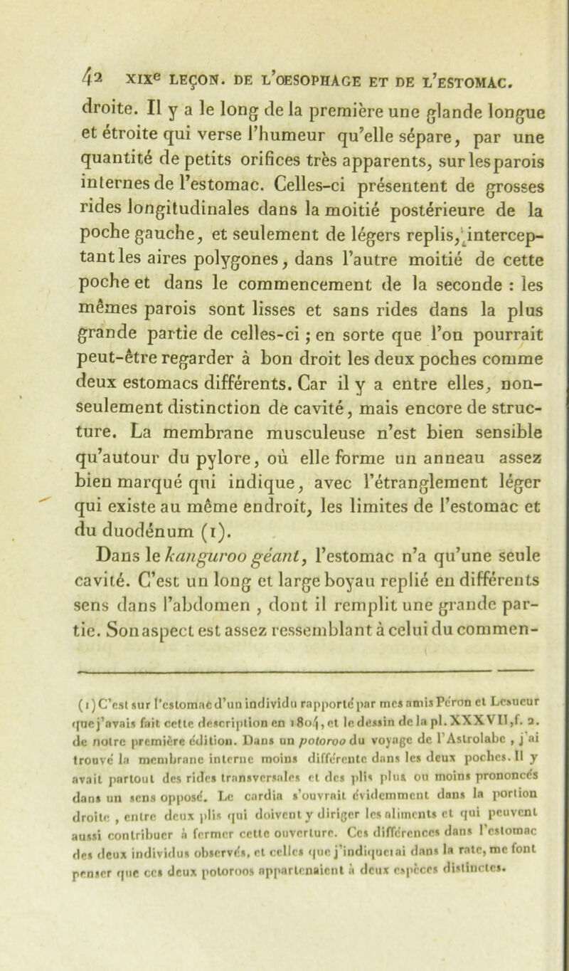 droite. II y a le long de la premiere une glande longue et etroite qui verse l’humeur qu’elle separe, par une quantity de petits orifices tres apparents, surlesparois internes cle l’estomac. Celles-ci presentent de grosses rides longitudinales dans la moitie posterieure de la poche gauche, et seulement de legers replis/intercep- tantles aires polygones, dans l’autre moitie de cette poche et dans le commencement de la seconde : les memes parois sont lisses et sans rides dans la plus grande partie de celles-ci ; en sorte que Ton pourrait peut-etre regarder a bon droit les deux poches comme deux estomacs differents. Car il y a entre elles, non- seulement distinction de cavite, mais encore de struc- ture. La membrane musculeuse n’est bien sensible qu’autour du pylore, ou elle forme un anneau assez bien marque qui indique, avec l’etranglement leger qui existe au m6me endroit, les limites de l’estomac et du duodenum (1). Dans le kanguroo geanl, l’estomac n’a qu’une seule cavite. C’est un long et large boyau replie en differents sens dans l’abdomen , dont i! remplit une grande par- tic. Son aspect est assez ressemblant a celui du commen- (i)C’est sur I’cstomacd’unindividu rapportdpar mcsaniisPc'ron ct Losucur qne j’nvais fait cctte description on 18o/|, et lcdltiin dcla pi. XXXVII,f. □. de noire premiere edition. Dan* un poioroo du voyage dc 1’ Astrolabe , j ai tronvc la membrane interne moins diffc’rcnlc dan* les deux poche*. II y avail partout des ride* transvcrsnles et de* pli* pin* ou moins prononeds dan* un sens opposd. Le cardia s’ouvrnil dvidemment dans la portion droitc , entre deux pli* qui doivent y diriger les aliments et qui peuvcnl au**i conlrihucr a farmer cctlc ouverlurc. Cc* dilTdrcnces dans l’cstomac de* deux individus observds, et cellc* que j'indiqueiai dan* la rate, me font penser que cc* deux potoroos nppartenaient it deux e»pcces dUllncte*.