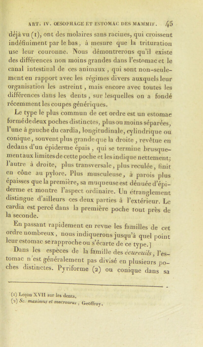 deja vu (i), ont des molaires sans raciues, qui croisseut indefiniment par le has , a mesure que la trituration use leur couronne. Nous demontrerons qu’il existe des differences non moinsgrandes dans l’estomacet le canal intestinal de ccs animaux , qui sont non-seule- mcnten rapport avec les regimes divers auxquelsleur organisation les astreint , mais encore avec toutes les differences dans les dents , sur lesquelles on a fonde recemmcnt les coupes generiques. Le type le plus commun de cet ordre est un estomac formededeux poches distinctes, plusouinoinsseparees, 1’une a gauche du cardia, longitudinale, cylindrique ou conique, souvent plus grande que la droite , revalue en dedans d’un epiderme epais , qui se termine brusque- mentaux liniitesde cette poche ot lesindique nettement; l’alitre a droite, plus transversale, plus reculee, Unit cn cone au pylore. Plus musculeuse, a parois plus epaisses que la premiere, sa muqueuseest denuee d’epi- derme et montre l’aspect ordinaire. Uu etranglement distingue d’ailleurs ces deux parties a 1’exterieur. Le cardia est perce dans la premiere poche tout pres de la seconde. En passant rapidement en revue les families de cet ordre nombreux, nous indiquerons jusqu a quel point leur estomac serapprocheou s ecarte de ce type.] Dans les especes de la famille des ecureuils, I’es- tomac n est generalement pas divise en plusieurs po- ches distinctes. Pyriforme (2) ou conique dans sa (1) Letjon XVII sur les dents.