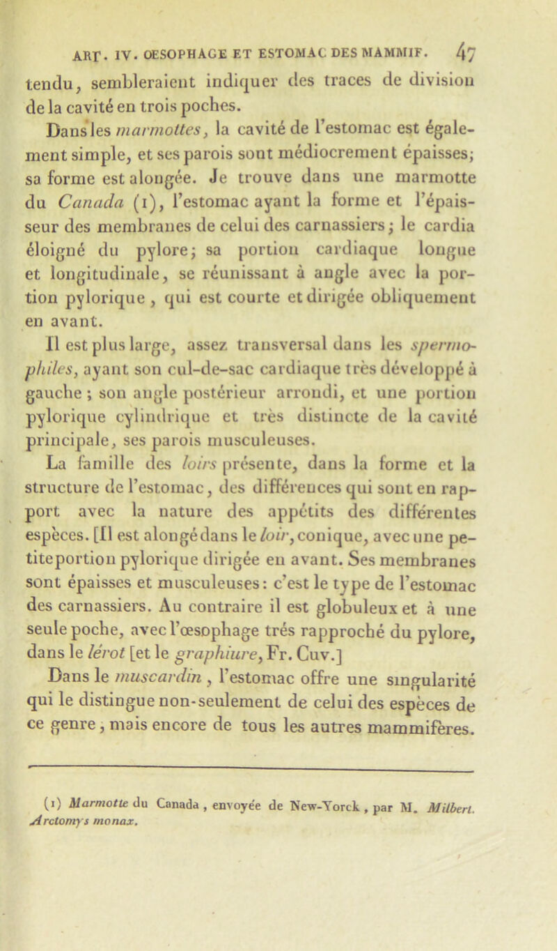 tendu, sembleraicnt indiquer des traces de division de la cavit£ en trois poches. Dans*les marmottes, la cavite de l’estomac est £gale- ment simple, etsesparois sent mediocrement epaisses; sa forme est alongee. Je trouve dans une marmotte du Canada (i), l’estomac ayant la forme et l’epais- seur des membranes de celui des caruassiers; le cardia eloigne du pylore; sa portion cardiaque longue et longitudinale, se reunissant a angle avec la por- tion pylorique , qui est courte etdirigee obliquement en avant. 11 est plus large, assez transversal dans les sperrno- phileSy ayant son cul-de-sac cardiaque tres developpe a gauche ; son angle posterieur arroudi, et une portion pylorique cylindrique et tres distincte de la cavit£ principale, ses parois musculeuses. La lamille des loirs presente, dans la forme et la structure de l’estomac, des differences qui sont en rap- port avec la nature des appetits des differentes especes. [II est alongedans le/o//-,conique, avec une pe- titeportion pylorique dirigee en avant. Ses membranes sont epaisses et musculeuses: c?est le type de l’estoinac des carnassiers. Au contraire il est globuleuxet a une seulepoche, avecToesophage tres rapproche du pylore, dans le lerot [et le graphiure> Fr. Cuv.] Dans le muscardni, 1 estomac offre une singularity qui le distingue non-seulement de celui des especes de ce genre , mais encore de tous les autres mammiferes. (i) Marmotte du Canada , envoye'e de New-Yorck , par M. Milberl. Arctomys monax.