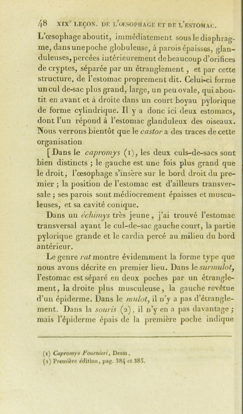 L’oesophage aboutit, immediatement sous le diaphrag- me, dansunepoche globuleuse, a parois epaissos, glan- duleuses, percees interieurement debeaucoup d’orifices de cryptes, separee par un etranglement , et par cette structure, de l’estomac proprement dit. CeluUci forme uncul de-sac plus grand, large, un peu ovale, qui abou- tit en avant et a droite dans un court boyau pylorique de forme cylindrique. II y a done ici deux estomacs, dont l’un repond a l’estomac glanduleux des oiseaux. Nous verrons bientot que le castor a des traces de cette organisation [Dans le capromys (1), les deux culs-de-sacs sont bien distincts ; le gauche est une fois plus grand que le droit, l’cesophage s’insere sur le bord droit du pre- mier ; la position de l’estomac est d’ailleurs transver- sale ses parois sont mediocrement epaisses etmuscu- leuses, et sa cavite conique. Dans un echimys tres jeune, j’ai trouve Festomac transversal ayant le cul-de-sac gauche court, la partie pylorique grande et le cardia perce au milieu du bord anterieur. Le genre rat montvc, evidemment la forme type que nous avons d^crite en premier lieu. Dans \e surmulot, Festomac est s^pare en deux poches par un etrangle- ment, la droite plus musculeuse, la gaqche revdtue (Fun (^pidermc. Dans le mulct, il n’y a pas d’etrangle- ment. Dans la souris (9,), il n’y en a pas davantage j mais F^piderme epais de la premiere poche indique (1) Capromys Foumicri, Dc*m .