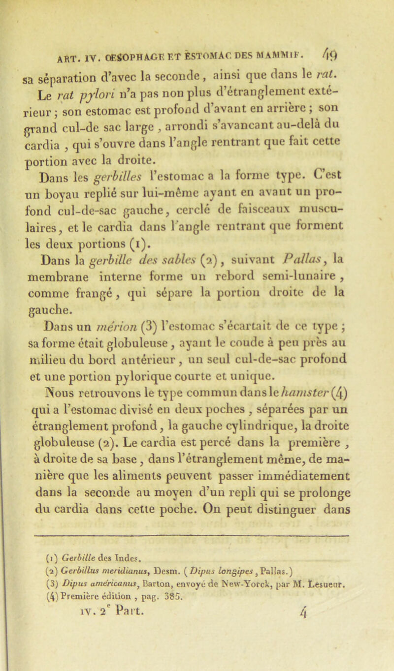 sa separation d’avec la seconde, ainsi que dans le rat. Le rat pylori n’a pas non plus d’etranglement exte- rieur; son estomac est profood d’avant en arrierc ; son grand cul-de sac large , arrondi s’avancant au-dela du cardia , qui s’ouvre dans Tangle rentrant que fait cette portion avec la droite. Dans les gerbilles Testomac a la forme type. C’est un boyau repli4 sur lui-m£me ayant en avaut un pro- fond cul-de-sac gauche, cercle de fnisceaux muscu- laires, et le cardia dans Tangle rentrant que forment les deux portions (i). Dans la gerbille des sables (2) , suivant Pallas, la membrane interne forme un rebord semi-lunaire , eomme frange, qui separe la portion droite de la gauche. Dans un merion (3) Testomac s’ecartait de ee type ; sa forme etait globuleuse, ayant le coude a pen pres au milieu du bord anterieur , un seul cul-de-sac prolond et une portion pylorique courte et unique. Nous retrouvons le type commundansle/mwwter(4) qui a Testomac divise en deux poches , separees par un etranglement profond, la gauche cylindrique, la droite globuleuse (2). Le cardia est perce dans la premiere , a droite de sa base, dans l’etranglement meme, de ma- niere que les aliments peuvent passer immediatement dans la seconde au moyen d’un repli qui se prolonge du cardia dans cette poche. On peut distinguer dans (i) Gerbille des Indes. (a) Gerbillus meridianus, Desm. ( Dipus Longipes f Palias.) (3) Dipus ame'ricanus} Barton, envoye de Ncw-Yorck, par M. Lesuenr. (4) Premiere edition , pag. 385. iv. 2e Part. 4