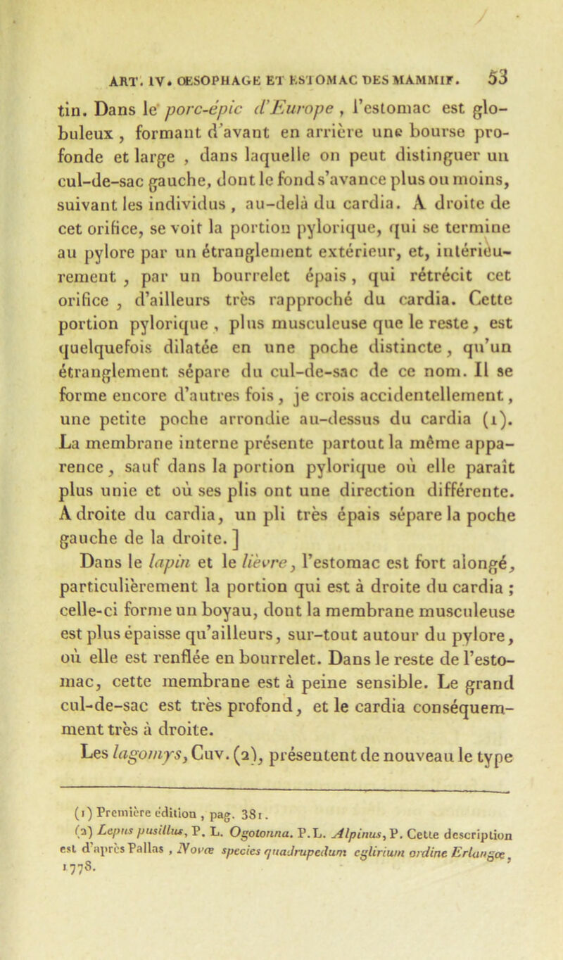 tin. Dans \e porc-epic cl’Europe , l’estomac est glo- buleux , formant d’avant en arriere une bourse pro- fonde et large , dans laquelle on peut distinguer un cul-de-sac gauche, dont le fond s’avance plus ou moins, suivant les individus , au-dela du cardia. A droitc de cet orifice, se voir la portion pylorique, qui sc termine au pylore par un £tranglement exterieur, et, interieu- rement , par un bourrelet epais, qui retrecit cet orifice , d’ailleurs ties rapproche du cardia. Cette portion pylorique, plus musculeuse quo le reste , est quelquefois dilatee cn une poche distincte, qu’un etranglement separe du cul-de-sac de ce nom. II se forme encore d’autres fois , je crois accidentelleinent, une petite poche arrondie au-dessus du cardia (i). La membrane interne presente partout la m6me appa- rence, sauf dans la portion pylorique on elle parait plus unie et ou ses plis ont une direction differente. A droite du cardia, un pli ties epais separe la poche gauche de la droite. ] Dans le lap in et le li'evre, l’estomac est fort aiong£, particulierement la portion qui est a droite du cardia ; celle-ci forme un boyau, dont la membrane musculeuse est plusepaisse qu’ailleurs, sur-tout autour du pylore, oii. elle est renflee en bourrelet. Dans le reste de l’esto- niac, cette membrane est a peine sensible. Le grand cul-de-sac est tresprofond, et le cardia consequem- ment tres a droite. Les lagomys, Cuv. (2), preseutent de nouveau le type (1) Premiere edition , pag. 3Si. (a) Lepus fjusilliu, P. L. Ogolonna. P.L. Alpinus, P. Cette description est d apres Pallas , 2Voiw species quaJrupcdum egliriwn ordine Erlangoe 1778.