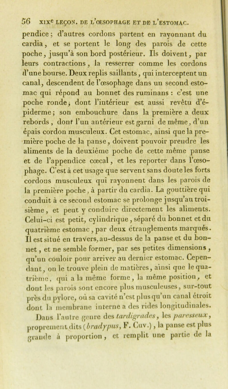 pendice; d’autres cordons partent. en rayonnant. du cardia, et se portent le long des parois de cette poche, jusqu’a son bord posterieur. Ils doivent, par leurs contractions, la resserrer comme les cordons d’une bourse. Deux replis saillants, qui interceptent un canal, descendent de I’oesophage dans un second esto- naac qui repond au bonnet des rurainans : c’est une poche ronde; dont l’interieur est aussi revetu d’e- piderme; son embouchure dans la premiere a deux rebords , dont l’un anterieur est garni de meme, d’un epais cordon musculeux. Cet estomac, ainsi que la pre- miere poche de la panse, doivent pouvoir prendre les aliments de la deuxieme poche de cette meme panse et de l’appendice coecal, et les reporter dans l’ceso- phage. C’est a cet usage que servent sans douteles forts cordons musculeux qui rayonnent dans les parois de la premiere poche, a partir du cardia. La gouttiere qui conduit a ce second estomac se prolonge jusqu’autroi- sieme, et peut y conduire directcment les aliments. Celui-ci est petit, cylindrique, separe du bonnet etdu quatrieme estomac , par deux etranglements marques. Ilestsitue en iravers,au-dessus de la panse et du bon- net , et ne semble former, par ses petites dimensions , qu’un couloir pour arriver au dernier estomac. Cepen- (lant, on le trouve pleiu de matieres, ainsi que le qua- trierne, ({ui ala ineme forme, la rneme position, et dont les parois sont encore plus musculeuses, sur-tout pres du pylore, ou sa cavite n’estplusqu un canal etroit dont la membrane interne a des rides longitudinales. Dans l’autre genre des tardigrades, les paresseux, proprement dits {bradypus, F. (aiv.), la panse est plus grande a proportion , ct remplit une pnrtie dc la