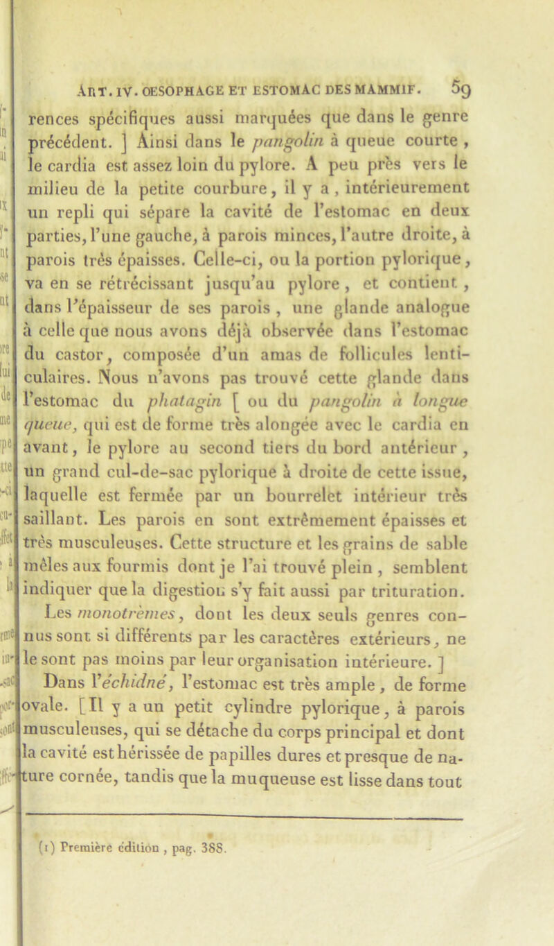 flit rences specifiques aussi marquees que dans le genre pr^c^dent. ] Ainsi dans le pangolin a queue courte , le cardia est assez loin du pylore. A peu prbs vers le milieu de la petite courbure, il y a , interieurement un repli qui s^pare la cavite de l’estomac en deux parties, Tune gauche, a parois minces, l’autre droite, a parois tr£s epaisses. Celle-ci, ou la portion pylorique, va en se retr^cissant jusqu’au pylore , et contient , dans LSpaisseur de ses parois , une glande analogue a celle que nous avons d6ja observee dans l’estomac du castor, composee d’tin amas de follicules lenti- culaires. Nous n’avons pas trouve cette glande dans queue, qui est de forme ties alongee avec le cardia en avant, le pylore au second tiers du bord ant^ricur , un grand cul-de-sac pylorique droite de cette issue, laquelle est fermee par un bourrelet interieur tr<*s saillant. Les parois en sont extr^mement epaisses et tres musculeuses. Cette structure et les grains de sable meles aux fourmis dont je 1’ai trouve plein , semblent indiquer que la digestion s’y fait aussi par trituration. Les monotremes, dont les deux seuls genres con- nussont si differeuts par les caracteres exterieurs, ne le sont pas moins par leur organisation interieure. ] Dans Yechidne, l’estomac est tres ample , de forme ovale. [II y a un petit cylindre pylorique, a parois musculeuses, qui se detache du corps principal et dont la cavite estherissee de papilles dures et presque de na- - ture cornee, tandis que la muqueuse est lisse dans tout