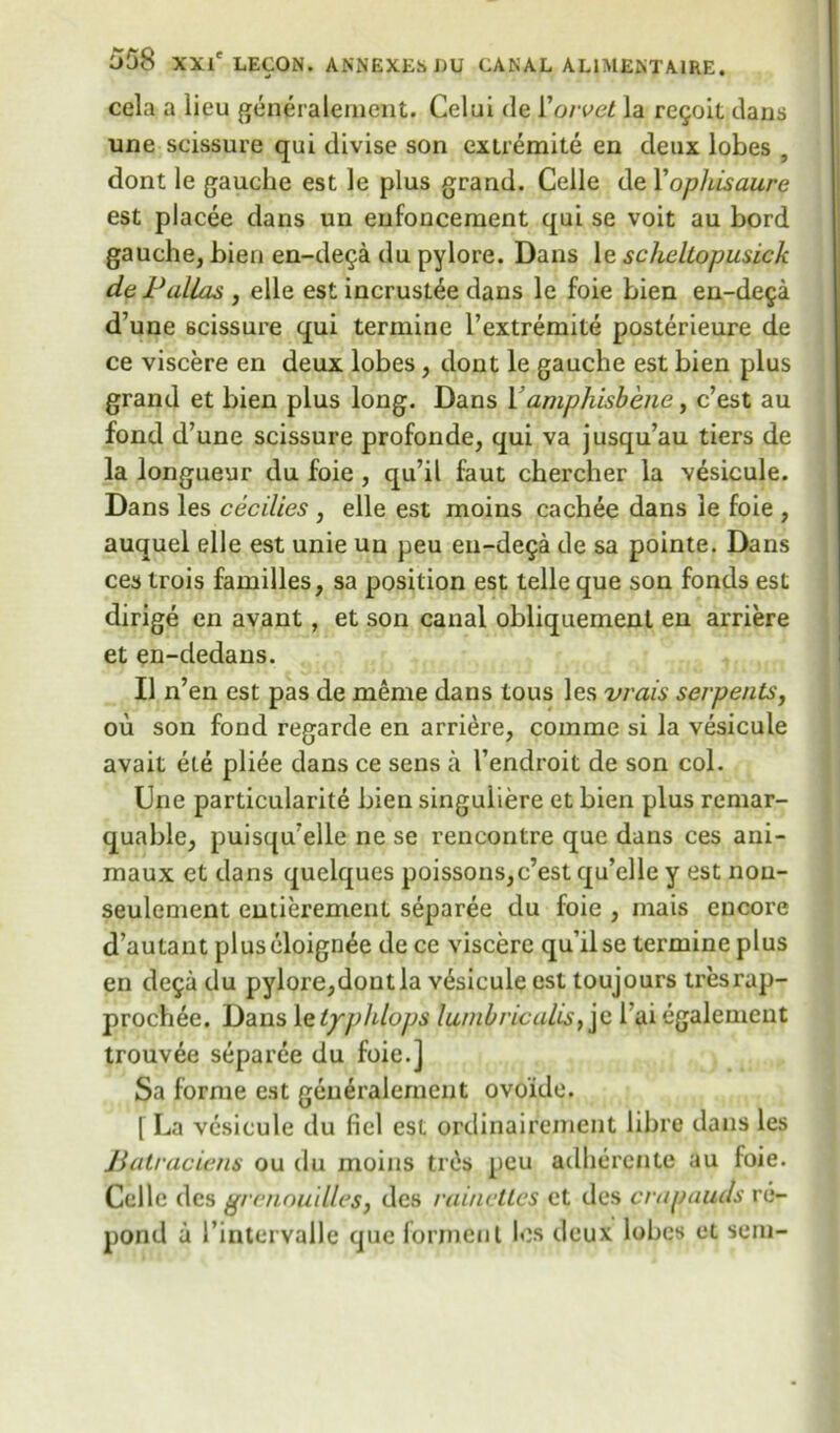 cela a lieu generalement. Celui <le 1 'orvet la reQoit clans une scissure qui tlivise son extremite en deux lobes , dont le gauche est le plus grand. Celle de Xophisaure est placee dans un enhancement qui se voit au bord gauche, bien en-de^a du pylore. Dans le scheltopusick de Pallas , elle est incrust^e dans le foie bien en-dega d’une scissure qui tennine l’extremite posterieure de ce viscere en deux lobes, dont le gauche est bien plus grand et bien plus long. Dans 1 dmphisbene, c’est au fond d’une scissure profonde, qui va jusqu’au tiers de la longueur du foie , qu’il faut chercher la vesicule. Dans les Cecilies , elle est moins cachee dans le foie , auquel elle est unie un peu en-de9a de sa pointe. Dans ces trois families, sa position est telle que son fonds est dirige en avant, et son canal obliquemenl en arriere et en-dedans. II n’en est pas de meme dans tous les vrais serpents, ou son fond regarde en arriere, comme si la vesicule avait ele pliee dans ce sens a I’endroit de son col. Une particularity bien singuiiere et bien plus remar- quable, puisqu’elle ne se rencontre que dans ces ani- raaux et dans quelques poissons,c’est qu’elle y est nou- seulement emierement separee du foie , mais encore d’autant pluseloignee de ce viscere qu’il se termine plus en de9adu pylore,dontla v6sicule est toujours tresrap- prochye. Dans 1 etyphlops lunibricalis, je l’ai egalemeut trouvee separee du foie.] Sa forme est generalemcnt ovoido. [ La vesicule du ficl est ordinaircment lib re dans les Batraciens ou du moins trOs peu adherente au foie. Celle des grenoudles, des rainctlcs et des crnpuuds re- pond a l’intervalle que forment los deux lobes et sem-