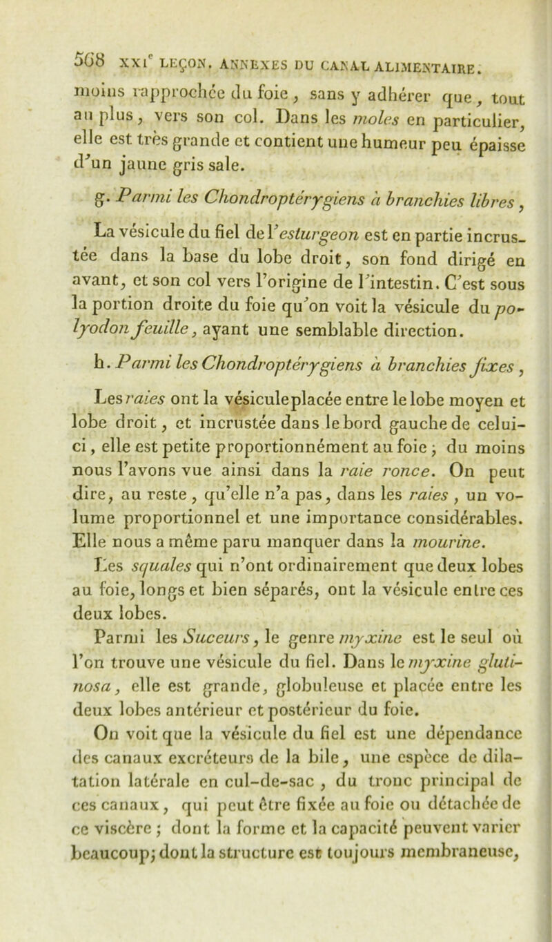 moins rapprochce du foie, sans y adherer que, tout an plus, \cis son col. Dans lcs moles cn particulier, elle est Ires grande ct contient une humeur peu epaisse d^un jaune gris sale. g. Parmi les Chondropterygiens a brancliies libres, La vesicule du fiel de Veslurgeon est en partie incrus- tee dans la base du lobe droit, son fond dirige en avant, et son col vers l’origine de 1 intestin. CTest sous la portion droite du foie qu on voitla vesicule du po- lyodon feudle, ayant une semblablc direction. b. Parmi les Chondropterygiens a branchies jixes , Les rates ont la vesicule placee entre lelobe moyen et lobe droit, et incrustee dans lebord gauche de celui- ci, elle est petite proportionnement au foie j du moins nous l’avons vue ainsi dans la raie ronce. On peut dire, au reste , qu’elle n’a pas, dans les rates , un vo- lume proportionnel et une importance considerables. Elle nous a meme paru manquer dans la mourine. Les squales qui n’ont ordinairement que deux lobes au foie, longs et bien separes, ont la vesicule enlreces deux lobes. Parmi les Suceurs, le genremyjcine est le seul ou l’on trouve une vesicule du fiel. Dans 1 cmyxine gluti- nosa, elle est grande, globuleuse et placee entre les deux lobes anterieur etposterieur du foie. Ou voit que la vesicule du fiel est une dependance dcs canaux excreteurs de la bile, une cspece de dila- tation laterale en cul-de-sac , du trouc principal de ces canaux, qui peut (kre fix6e au foie ou dctaclidc de ce viscirc ; dont la forme ct la capacity pcuvcnt varicr bcaucoupjdonl la structure ese toujours mcmbraneusc,