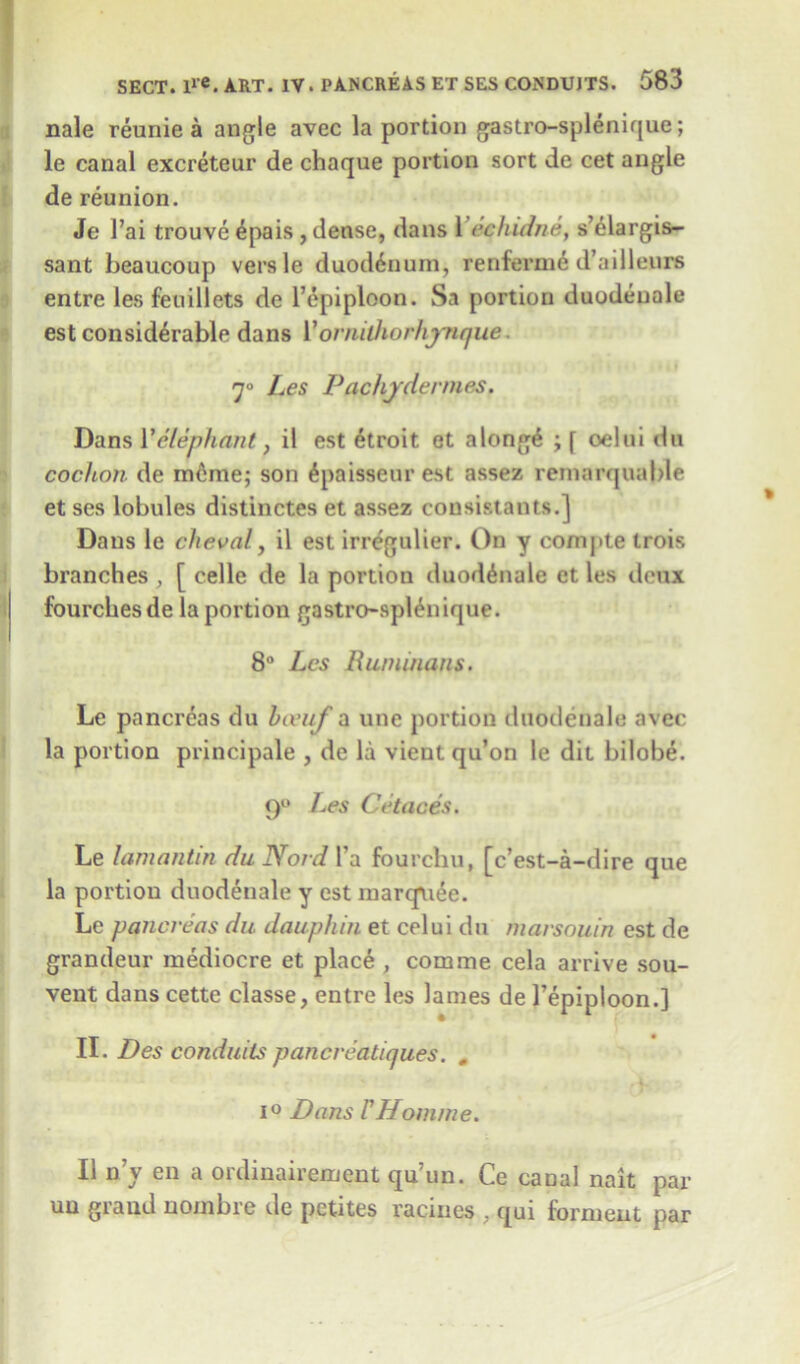 nale reunie a angle avec la portion gastro-splenique; le canal excreteur de chaque portion sort de cet angle de reunion. Je l’ai trouve 4pais , dense, dans 1 echidne, s’elargis- sant beaucoup vers le duodenum, renfermc d’ailleurs entre les feuillets de l’epiploon. Sa portion duodeuale est considerable dans VorniOiorhjrrufue. 7° Les Pachjdennes. Dans Velephant} il est etroit et along4 j f oelui du cochon de meme; son 6paisseur est assez remarquable et ses lobules distinctes et assez consistants.] Dans le cheval, il est irregulier. On y compte trois branches , [ celle de la portion duodeuale et les deux fourchesde la portion gastro-splenique. 8° Les Ruminans. Le pancreas du Iceuf a line portion duodeuale avec la portion principale , de la vient qu’on le dit bilobe. 9° Les Cetaoes. Le lamantin da Nord l’a fourcliu, [e’est-a-dire que la portion duodeuale y est marquee. Le pancreas du dauphin et celui du marsouin est de grandeur mediocre et place , com me cela arrive sou- vent dans cette classe, entre les lames de l’epiploon.] II. Des conduits pancreatiques. . i° Dans VHomme. Il n’y en a ordinairement qu’un. Ce caDal nait par uu grand nombre de petites racines , qui forment par