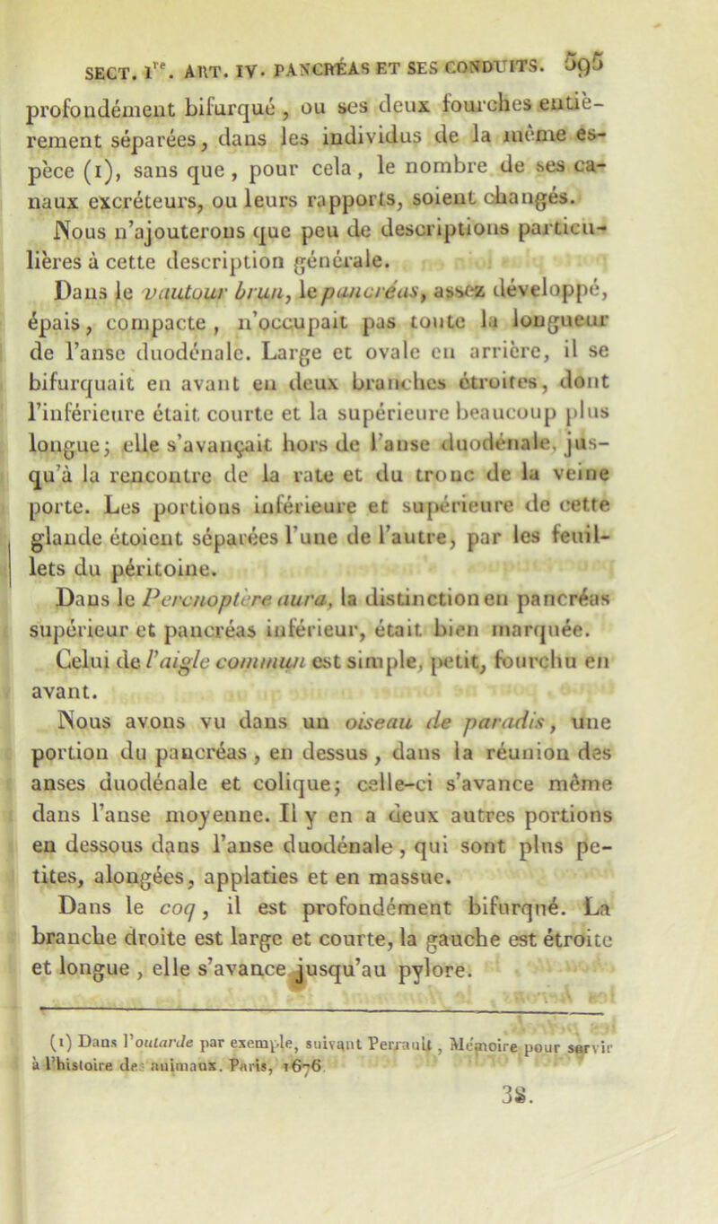 profoudemeut bifurque , ou ses deux fourchcs eutie- reraent separees, dans les individus de la menie es- pece (i), sans que, pour cela, le nombre de ses ca- naux excreteurs, ou leurs rapports, soienl changes. Nous n’ajouterous que peu de descriptions particu- lieres a cette description gen era le. Dans le vautuur bruu, 1 e pa/icreas, assez develappe, epais, compacte , n’occupait pas toute la longueur de l’anse duodenale. Large et ovale en arriere, il se bifurquait en avant en deux branches etruifes, dont rinlerieure etaif. courte et la superieure beaucoup plus longue; elle s’avan^ait hors de l anse duodenale. jus- qu a la rencontre de la rate et du trouc de la veine porte. Les portions iuferieure et superieure de cette glaude etoieut separees lime de l’autre, par les feuil- lets du peritoine. Dans le Percnoptere aura, la distinction en pancreas superieur et pancreas inlerieur, etait bien marquee. Celui 4.&l’aigle commun est simple, petit, fourchu en avant. Nous avons vu dans un oiseau de paradis, utie portion du pancreas, en dessus , dans la reunion des anses duodenale et coliquej celle-ci s’avance meme dans l’ause moyenne. II y en a deux autres portions en dessous dans l’anse duodenale, qui sont plus pc- tites, alongees, applaties et en massuc. Dans le coq, il est profondement bifurque. La branche droite est large et courte, la gauche est etroite et longue , elle s’avance jusqu’au pylore. (i) Dans VoularJe par exemple, suiv^nt Perjauli , Me'poire pour sarvir a l'histoire de:- nuimnux. Paris, 1676 3S.