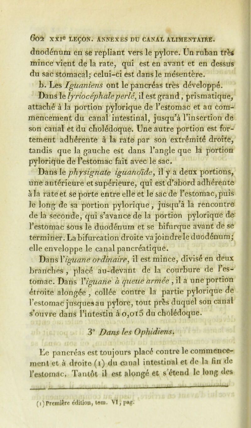 duodenum en se repliant vers le pylore. Un ruban tres mince vient de la rate, qui est en avant et en dessus du sacstomacal; celui-ci est dansle mesentere. b. Les IgUaniens ont le pancreas tres developpe. Dans le lyriocephaleperle, il est grand, prismatique, attache a la portion pylorique de l’estomac et au com- mencement du canal intestinal, jusqu’a l’insertion de son canal et du choledoque. Une autre portion est for- tement adherente a la rate par son extr^mite droite, tandis que la gauche est dans l’angle que la portion pylorique de l’estomac fait avec le sac. Dans le physignate iguanoide, il y a deux portions, une anterieure etsuperieure, qui est d’abord adherente ala rateet se porte entre elle et le sacde Festomac,puis le long de sa portion pylorique, jusqu’a la rencontre de la seconde, qui s’avance de la portion pylorique de Festomac sous le duodenum et se bifurque avant de se terminer. La bifurcation droite va joindrele duodenum; elle enveloppe le canal pancreatique. Dans Yiguane ordinaire, il est mince, divise en deux branches , plac<$ au-devant de la courbure de 1 cs- tomac. Dans Yiguane a queue armee , il a une portion droite along^e , collie contre la partie pylorique de Festomac jusquesau pylore, tout prfcs duquel son canal s’ouvre dans Fiutestin ao,oi5 du cholddoque. 3° Dans les Ophidiem. Le pancreas est toujours plac<$ contre le commence- ment et a droite (i) du canal intestinal et de la fin de Festoinac. Tant6t il est alonge et s'£tend 1c long des (1) Premiere edition, tom, VI, pa#.