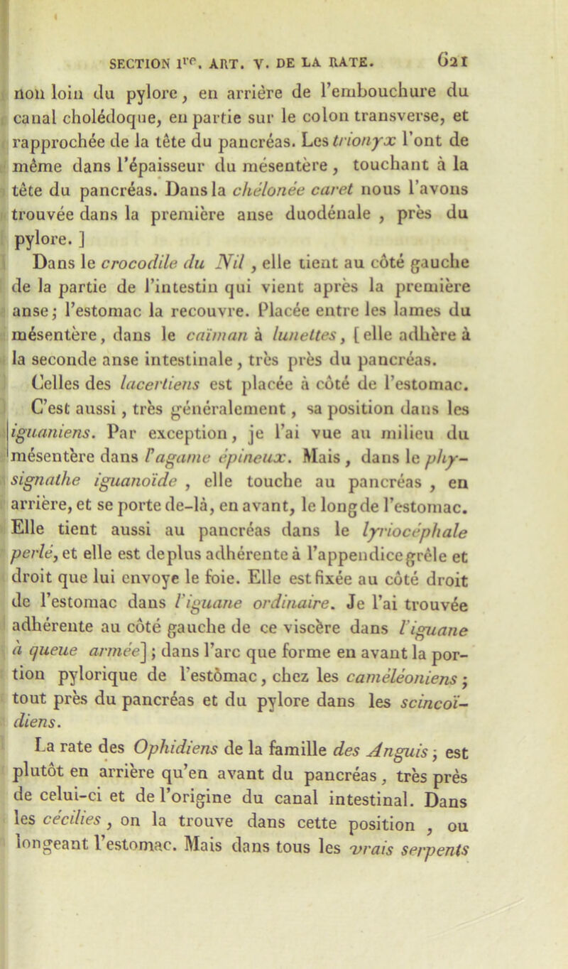 non loin tiu pylore, en arriere de l’embouchure du canal choledoque, en partie sur le colon transverse, et rapprochee de la tete du pancreas. Les trionyx l’ont de m&me dans l’^paisseur du mesentere , touchant a la tete du pancreas. Dans la chelonee caret nous l’avons trouvee dans la premiere anse duodenale , pres du pylore.] Dans le crocodile du Nil , elle tient au c6te gauche de la partie de 1’intestin qui vient apres la premiere anse; l’estomac la recouvre. Placee entre les lames du mesentere, dans le caiman a lunettes, [elle adhere a la seconde anse intestinale, ties pres du pancreas. Celles des lacerliens est placee a cote de 1'estomac. C’est aussi, tres generalement, sa position dans les iguaniens. Par exception, je l’ai vue au milieu du mesentere dans Fagame epineux. Mais , dans le phy- signalhe iguano'ide , elle touche au pancreas , en arriere, et se porte de-la, en avant, le longde l’estomac. Elle tient aussi au pancreas dans le lyriocephale perle, et elle est deplus adherentea l’appendicegrele et droit que lui envoye le foie. Elle estfixee au cote droit de 1’estomac dans Viguane ordinaire. Je l’ai trouvee adhereute au cote gauche de ce visc&re dans l iguane a queue armee] ; dans Pare que forme en avant la por- tion pylorique de l'estomac , chez les cameleoniens; tout pres du pancreas et du pylore dans les scinco'i- diens. La rate des Ophidiens de la famille des Anguis} est plutot en arriere qu’en avant du pancreas, tres pres de celui-ci et de l’origine du canal intestinal. Dans les cecdies, on la trouve dans cette position , ou