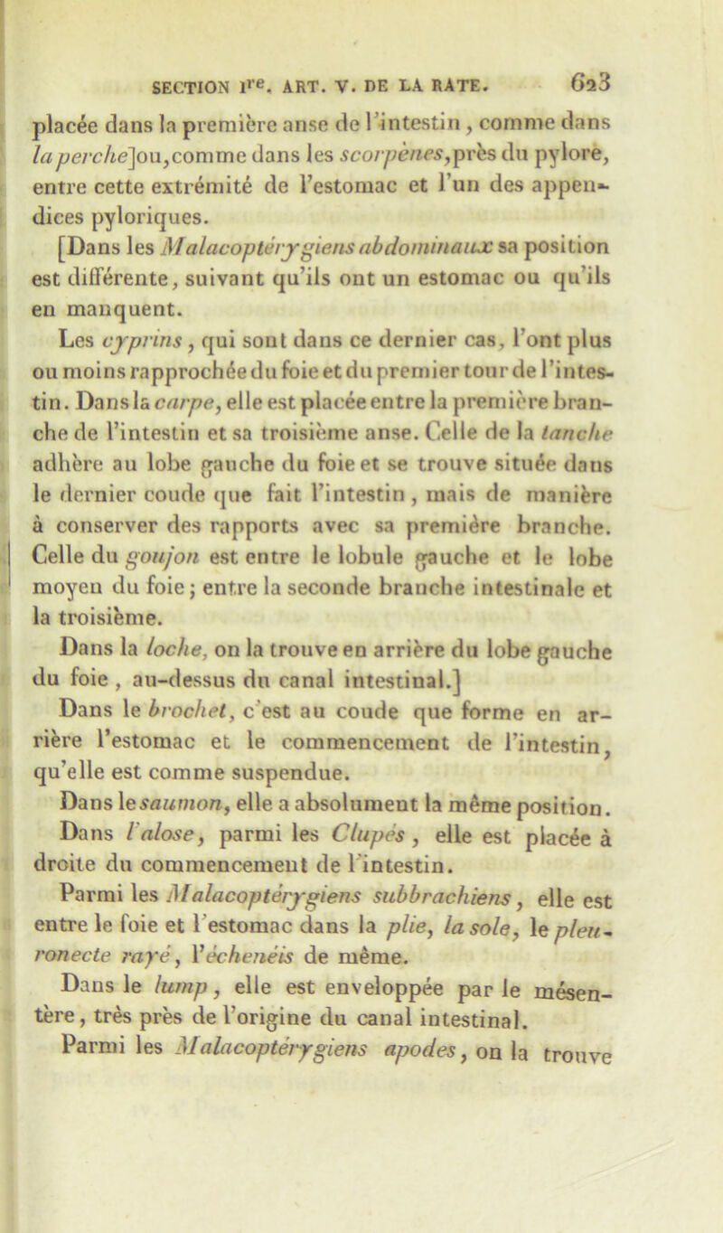 placee dans la premiere anse de 1 intestin, com me dans laperche]ou,comme dans les scorpenes,pr&s du pylore, entre cette extremite de l’estomac et l’un des append dices pyloriques. [Dans les Malacopterjrgiensabdominaux sa position est differente, suivant qu’ils out un estomac ou qu’ils en manquent. Les cypnns , qui sout dans ce dernier cas, l'ont plus ou moins rapprochde du foie et du premier tour de 1’intes- tin. Dans la carpe, elle est placee entre la premiere bran- che de I’intestin et sa troisieme anse. Celle de la lancke adhere au lobe gauche du foieet se trouve situ4e dans le dernier coude que fait l’intestin , inais de roanifere a conserver des rapports avec sa premiere branche. Celle du goujon est entre le lobule gauche et le lobe moyeu du foie; entre la seconde branche intestinale et la troisieme. Dans la loche, on la trouve en arriere du lobe gauche du foie , au-dessus du canal intestinal.] Dans le brocket, c est au coude que forme en ar- riere l’estomac et le commencement de l’in test in, qu’elle est comme suspendue. Dans 1 esaumon, elle a absolument la meme position. Dans lalose, parrni les Clupes, elle est placee a droite du commencement de l intestin. Parmi les M alacopterjrgiens subbrachiens, elle est entre le foie et l estomac dans la plie, la sole, 1 epleu~ ronecte rape , Yecheneis de meme. Dans le lump, elle est enveloppee par le mesen- tere, tres pres de l'origine du canal intestinal. Parmi les Malacopterygiens apodes, on la trouve