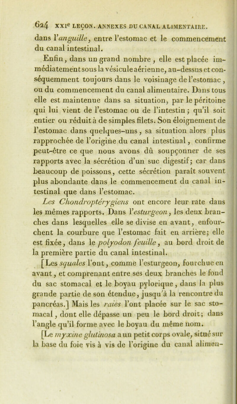 dans Yangudle, entre l’estomac et le commencement du canal intestinal. Enfin, dans un grand nombre, elle est placee im- mediatementsous la vesiculeaerienne, au-dessus et con- sequemment toujours dans le voisinage del’estomac , ou du commencement du canal alimentaire. Dans tous elle est maintenue dans sa situation, par le peritoine qui lui vient de l’estomac ou de l’intestin; qu’il soit entier ou reduit a de simples filets. Son eloignement de l’estomac dans quelques-uns, sa situation alors plus rapprochee de l’origine du canal intestinal, confirme peut-etre ce que nous avons du soup^onner de ses rapports avec la secretion d’un sue digestif; car dans beaucoup de poissons, cette secretion parait souvent plus abondante dans le commencement du canal in- testinal que dans l’estomac. Les Chondropteryglens ont encore leur rate dans les memes rapports. Dans Yesturgeon, les deux bran- ches dans lesquelles elle se divise en avant, enfour- chent la courbure que l’estomac fait en arriere; elle est fixee, dans le polyodon feudle, au bord droit de la premiere partie du canal intestinal. [Les squales Font, comine Festurgeon, fourchucen avant, et comprenant entre ses deux branches le fond du sac stomacal et le boyau pylorique, dans la plus grande partie de son 6 ten due, jusqu a la rencontre du pancreas.] Mais les rales Font placee sur le sac sto- macal , dont elle depasse un peu le bord droit; dans l’angle qu’il forme avec le boyau du merae 110m. [Le myxinc glutinosa a un petit corps ovale, situe sur la base du foie vis ii vis de l’origine du canal alimeu-