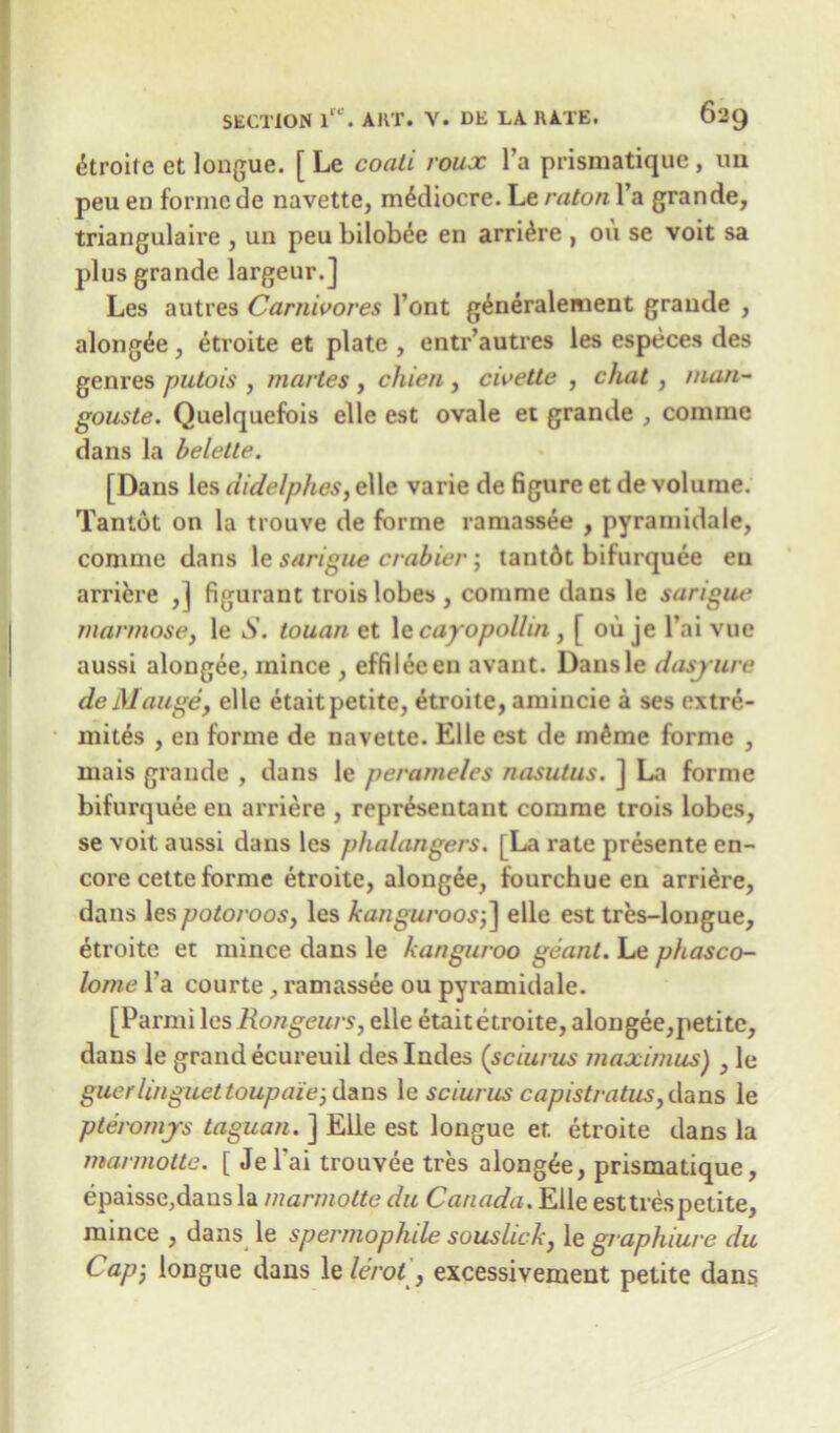 (kroit e et longue. [ Le coati roux l’a prismatique, un peuen formede navette, mediocre.Leratoral'a grande, triangulaire , un peu bilobee en arriere , on se voit sa plus grande largeur.] Les autres Carnivores Font generaleiwent grande , alongee, etroite et plate , entr’autres les especes des genres putois , martes , chien, civette , chat , man- gouste. Quelquefois elle est ovale et grande , com me dans la beletle. [Dans les didelphes, elle varie de figure et de volume. Tantot on la trouve de forme ramassee , pyramidale, conime dans le sarigue crabier; tant6t bifurquee eu arriere ,] figurant trois lobes , conime dans le sarigue mannose, le S. touan et 1 ecayopollin , [ ou je Pai vue aussi alongee, mince , effileeen avant. Dansle dasyure de Mange, elle etait petite, etroite, amincie a ses extre- mites , en forme de navette. Elle est de m£me forme , inais grande , dans le perameles nasutus. ] La forme bifurquee en arriere , represeutant conime trois lobes, se voit aussi dans les phalangers. [La rate presente en- core cette forme etroite, alongee, fourchue en arriere, dans lespotoroos, les kanguroos3] elle est tres-longue, etroite et mince dans le kanguroo geant. Le phasco- lorne l’a courte, ramassee ou pyramidale. [Parmi les Rongeurs, elle etait etroite, alongee,petite, dans le grand ecureuil deslndes (sciurus maximus) , le guerlinguettoupaiej dans le sciurus capistratus,dans le pteromjrs taguan. ] Elle est longue et etroite dans la marmotte. [ Jel'ai trouvee tres alongee, prismatique, epaisse.daus la marmotte du Canada. Elle est tres petite, mince , dans le spermophile sous lick, le graphiure du Cap', longue dans le lerol, excessivement petite dans