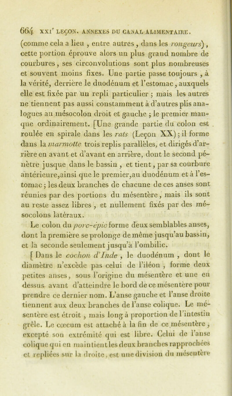 (comme cela a lieu , entre autres , dans les rongeurs) , cette portion eprouve alors un plus grand nombre de courbures, ses circonvolutions sont plus noinbreuses et souvent moins fixes. Une partie passe toujours , a la verite, derriere le duodenum et l’estomac, auxquels ellc est fix6e par uu repli particulier ; mais les autres ne tiennent pas aussi constamment a d’autresplis ana- logues au mesocolon droit et gauche j le premier man- que ordinairement. [Une grande partie du colon est roulee en spirale dans les rats (Le90u XX); il forme dans la marmotte trois replis paralleles, et diriges d’ar- riereen avant et d’avant en arriere, dont le second pe- netre jusque dans le bassin , et tient, par sa courbure anterieure,ainsi queie premier,au duodenum et a l’es- tomac; les deux branches de chacune tie ces anses sont reunies par des portions du mesentere, mais ils sont au reste assez libres , et nullement fixes par des me- socolons lateraux. Le colon du pore-epic forme deux semblables anses, dont la premiere se prolonge dememe jusqu’au bassin, et la seconde seulcment jusqu’a l’ombilic. [ Dans le cochon cl’lnde , le duodenum , dont le diarnetre n’excede pas celui de l’ileon , forme deux petites anses, sous l’origine du mesentere et une en dessus avant d’atteindre le bord de ce mesentere pour prendre ce dernier nom. L’anse gauche et l’anse droite tiennent aux deux branches de l’anse colique. Le me- scnterc est etroit, mais long a proportion de 1 intestiu grele. Le coecuin est attache a la fin do cc mesentere , excepte son extremite qui est libre. Celui de i’anse colique qui en main lient les deux branches rapprochees et rcpliees sur la droite, est une division du mesentere