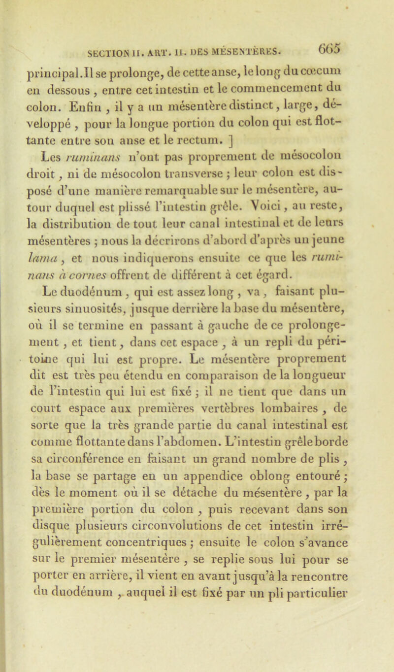 principal.il seprolonge, de cette anse, lelong ducoecum en dessous , enl.re cetintestin et le commencement du colon. Enfin , il y a un mesenteredistinct, large, de- veloppe , pour la longue portion du colon qui est flot- tante entre son anse et le rectum. ] Les ruminans n’out pas proprement de mesocolon droit, ni de mesocolon transverse ; leur colon est dis- pose d’unc maniere remarquablc sur le mesentere, au- tour duquel est plisse l’intestin gr£le. Voici, an reste, la distribution de tout leur canal intestinal et de lours mesenteres ; nous la decrirons d’abord d’apres un jeune lama, et nous indiquerons ensuite ce que les rumi- nans a conies offrent de different a cet egard. Lc duodenum , qui est assez long , va , faisant plu- sieurs sinuosit^s, jusque derriere la base du mesentere, ou il se termine en passant a gauche de ce prolonge- ment, et tient, dans cet espace , a un repli du peri- toLnc qui lui est propre. Le mesentere proprement dit est trcs peu etendu en comparaison de la longueur de 1’intestin qui lui est fixe ; il ne tient que dans un court espace aux premieres vertebres loinbaires , de sorte que la tres grande partie du canal intestinal est comrae flottantedans Tabdomen. L'intestin greleborde sa circonference en faisant un grand nombre de plis , la base se partage en un appendice oblong entoure; des le moment ou il se detache du mesentere , par la premiere portion du colon , puis recevant dans sou disque plusieurs circonvolutions de cet intestin irre- gulierement concentriques ; ensuite le colon s^avance sur le premier mesentere , se replie sous lui pour se porter en arriere, il vient en avant jusqu’a la rencontre du duodenum , auquel il est fixe par un pli particulier