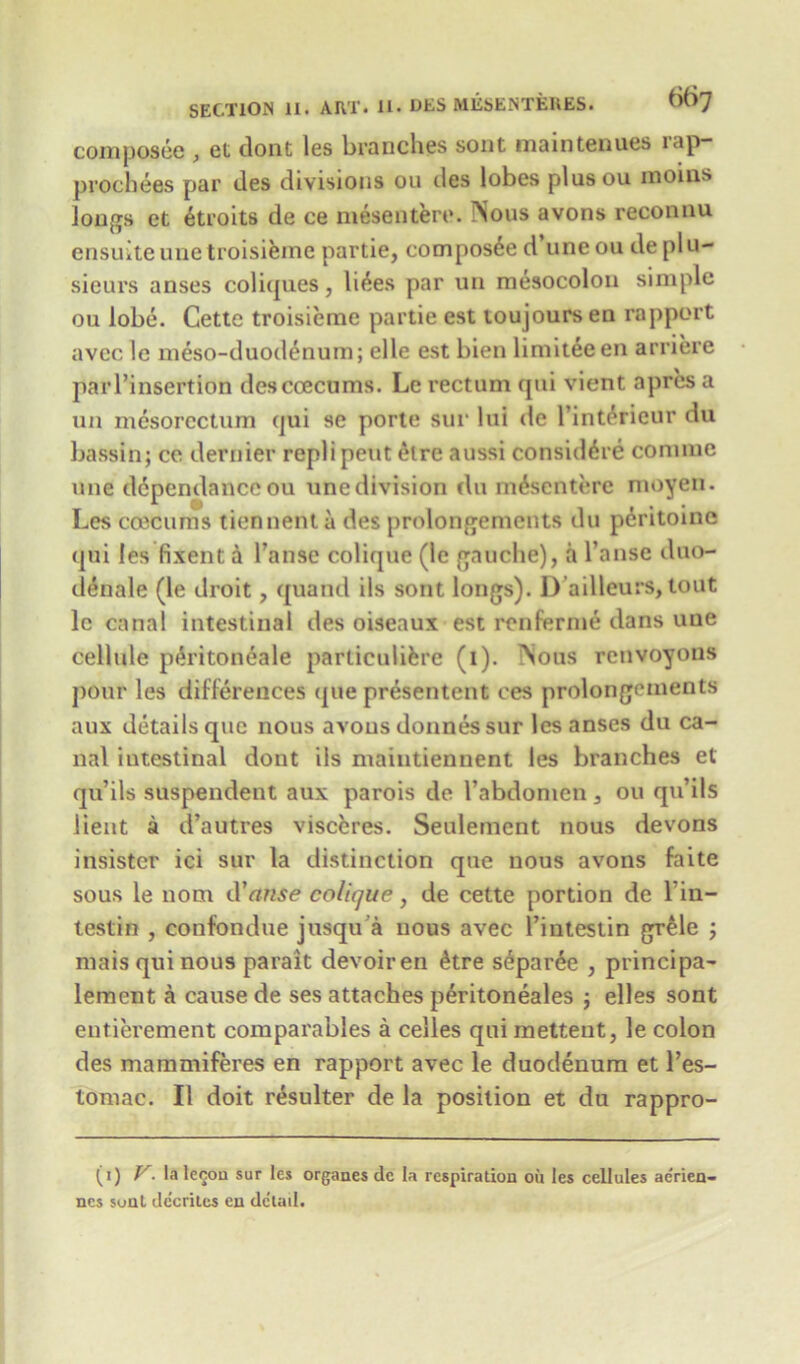 composee , et dont les branches sont main tenues rap- prochees par des divisions ou des lobes plusou moins longs ct etroits de ce mesentere. Nous avons reconuu ensuiteunetroisieme partie, composted uneoudeplu- sieurs anses coliques, litres par un mesocolon simple ou lobe. Cette troisieme partie est toujours en rapport avee le meso-duodenum; elle est bien limiteeen arriere parl’insertion descoecums. Le rectum rjtii vient apres a un mesorectum (jui se porte sur lui de Pint^rieur du bassin; ce dernier repli pent elre aussi consulate comme une ddpendanceou une division du mesentere moyen. Les ccecums tiennent a des prolongements du peritoine qui les fixent a Pause colique (le gauche), a l’anse duo- denale (le droit, quand ils sont longs). D ailleurs, tout le canal intestinal des oiseaux est ren ferine dans uue cellule ptlritoneale particulifere (i). Nous renvoyous pour les differences que presentent ces prolongements aux details que nous avons donnes sur les anses du ca- nal intestinal dont ils maintiennent les branches et qu’ils suspendent aux parois de l’abdomen , ou qu’ils lient a d’autres visceres. Seulement nous devons insistcr ici sur la distinction que nous avons faite sous le nom d'nnse colique, de cette portion de l’in- testin , confondue jusqu a nous avec Pintestin grele ; maisquinous parait devoir en £tre separ6e , principa- lement a cause de ses attaches p6ritoneales j elles sont entierement comparables a celles qui metteut, le colon des mammiferes en rapport avec le duodenum et l’es- tomac. II doit resulter de la position et du rappro- (i) V. la lecon sur les organes dc la respiration ou les cellules ae'rien- nes sunt dccriles cu detail.