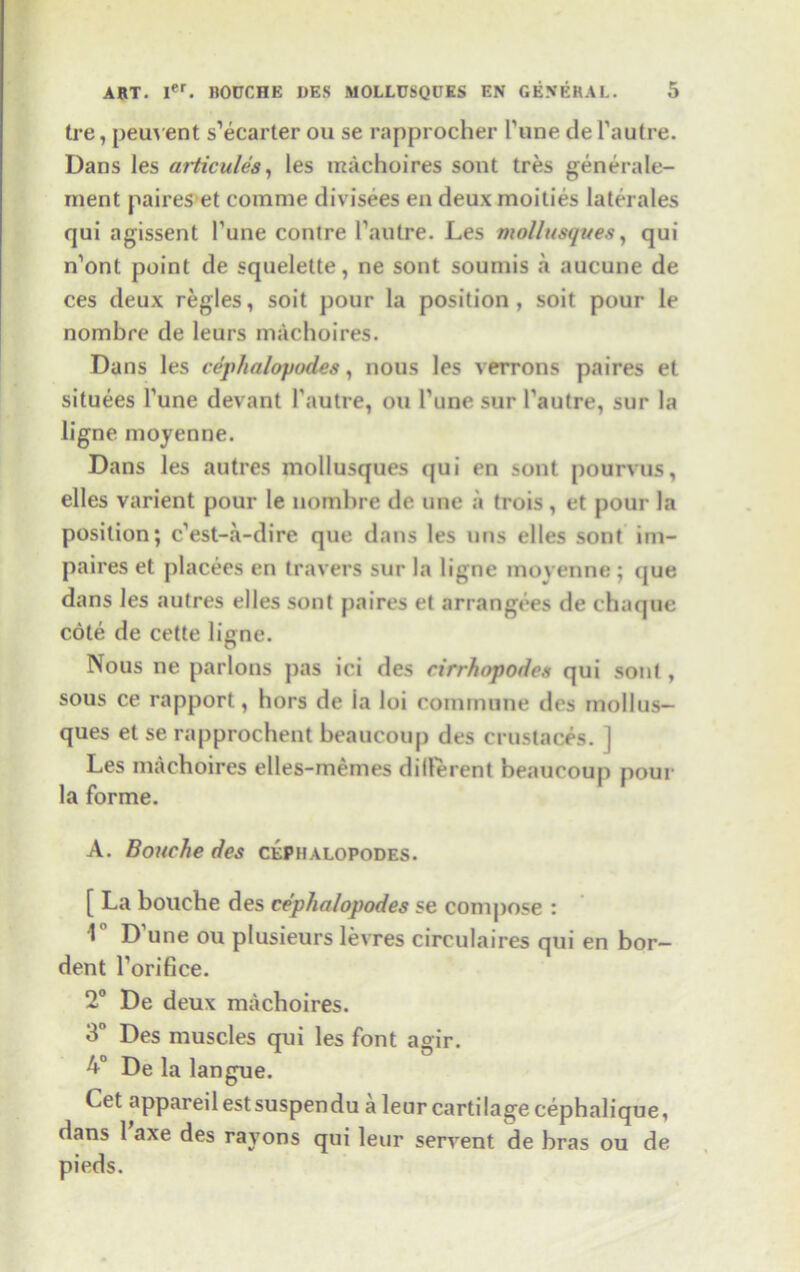 tre, peuvent s’ecarter ou se rapprocher Pune de Pautre. Dans les articules, les machoires sont tres generale- nient paires et comrae divisees en deux moities laterales qui agissent Pune contre Pautre. Les mollusques, qui n’ont point de squelette, ne sont sounds a aucune de ces deux regies, soit pour la position, soit pour le nombre de leurs machoires. Dans les cephalopodes, nous les verrons paires et situees Pune devant Pautre, ou Pune sur Pautre, sur la ligne moyenne. Dans les autres mollusques qui en sont pourvus, elles varient pour le nombre de une a trois, et pour la position; c’est-a-dire que dans les uns elles sont im- paires et placees en travers sur la ligne moyenne ; (jue dans les autres elles sont paires et arrangees de chaque cote de cette ligne. Nous ne parlous pas ici des cirrhopoden qui sont , sous ce rapport, hors de la loi commune des mollus- ques et se rapprochent beaucoup des cruslaces. ] Les machoires elles-memes dillerent beaucoup pour la forme. A. Bonche des cephalopodes. [ La bonche des cephalopodes se compose : 1° D’une ou plusieurs levres circulaires qui en bor- dent Torifice. 2° De deux machoires. 3° Des muscles qui les font agir. 4° De la langue. Get appareilestsuspendu a leur cartilagecephalique, dans 1 axe des rayons qui leur servent de bras ou de pieds.