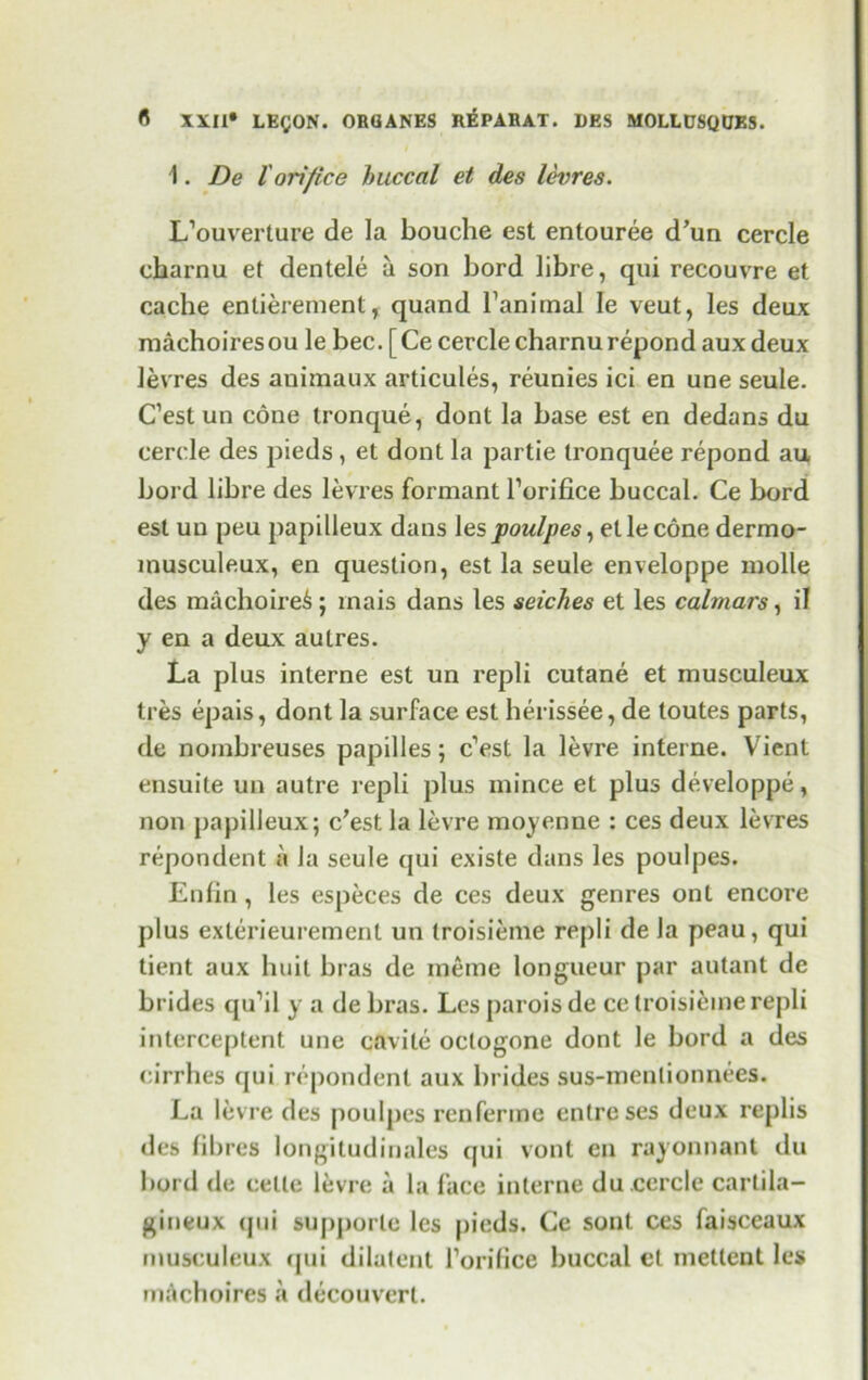 1. De l orifice buccal et des levres. L’ouverture de la bouche est entouree d’un cercle charnu et dentele a son bord libre, qui recouvre et cache enlierement, quand Tanirnal Ie veut, les deux machoiresou le bee. [Ce cercle charnu repond auxdeux levres des animaux articules, reunies ici en une seule. C’est un cone tronque, dont la base est en dedans du cercle des pieds , et dont la partie tronquee repond au bord libre des levi es formant Torifice buccal. Ce bord est un peu papilleux dans les poulpes, et le cone dermo- musculeux, en question, est la seule enveloppe molle des ma choired ; rnais dans les seiches et les calmars, il y en a deux aulres. La plus interne est un repli cutane et musculeux ti es epais, dont la surface est herissee, de toutes parts, de noinbreuses papilles; e’est la levre interne. Vient ensuite un autre repli plus mince et plus developpe, non papilleux; e'est. la levre moyenne : ces deux levres repondent a la seule qui existe dans les poulpes. Enlin , les especes de ces deux genres ont encore plus exlerieurement un troisieme rejili de la peau, qui tient aux huit bras de meme longueur par autant de brides qu’il y a de bras. Les parois de ce troisieme repli interceptent une cavile oclogone dont le bord a des cirrhes qui repondent aux brides sus-menlionnees. La levre des poulpes renferme entreses deux replis des fibres longitudinales qui vont en rayonnant du bord de cette levre ii la lace interne du.cercle cartila- gineux qui supporle les pieds. Ce sont ces faisceaux musculeux qui dilatent rorifice buccal et inettent les mAchoires a decouvert.