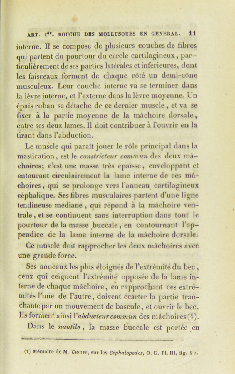 interne. II se compose de plusieurs couches de fibres qui partent du pourlour du cercle carlilagineux, par- ticulierement de ses parties lalerales et inferieures, dout les faisceaux forment de chaque cole un demi-cone musculeux. Leur couche interne va se terminer dans la levre interne, et Texterne dans la levre moyeune. I n epaisruban se detache de ce dernier muscle, et va se fixer a la partie movenne de la m;\cboire dorsale, entre ses deux lames. II doit conlribuer a l'ouvrir ea la tirant dans Tabduction. Le muscle qui parait jouer le role principal dans la mastication, est le constricteur commun des deux ina- choires; Vest une masse ties epaisse, enveloppant et entourant eirculairemeut la lame interne de ces ina- choires, qui se prolonge vers l’anneau carlilagineux cephalique. Ses fibres inusculaires partent d’une lignc tendineuse mediane , qui rcpond a la machoire ven- trale, et se continuent sans interruption dans tout le pourtour de la masse buccale, en contournant l ap- pendice de la lame interne de la machoire dorsale. Ce muscle doit rapprocher les deux machoires avec une grande force. Ses anneaux les plus eloignes de l'extremite du bee , ceux qui ceignent l'extremite opposee de la lame in- terne de chaque machoire, en rapprochant ces extre- mites Tune de Taulre, doivent ecarter la partie tran- chanlepar un mouvement de bascule, el ouvrir le bee. Us forment ainsi IVbducteurcommun des machoires(1). Dans le nautile , la masse buccale est portee en (1) M&noire de M. Cuvier, sur les Cephalopodes, O. C. Pi. Ill, fig. 5 i.