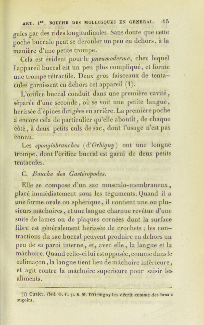 gales par ties rides longitudinales. Sans doute que cette poche buccale peut se derouler un pea en dehors, a la maniere d’une petite trompe. Cela est evident pourle pneumoderme, chez lequel l’appareil buccal est un peu plus complique, et forme une trompe retractile. Deux gros faisceaux de tenta- cules garnissent en dehors cet appareil (1). L’orifice buccal conduit dans une premiere cavite , separee d’une seconde, on se voit une petite langue, herissee d’epines dirigees en arriere. La premiere poche a encore cela de particulier qu’elle aboulit, de chaque c6te, a deux pelits culs de sac, dont l’usage n'est pas connu. Les spotujiobranches (d Orbigny) out une longue trompe, dont l’orifice buccal est garni de deux petits tenlacules. C. Bouche des Gasteropodes. Elle se compose d un sac musculo-membranenx, place immediatement sous les teguments. Quand il a une forme ovale ou spherique, il contient une ou plu- sieurs machoires, et une langue charnue revetue d’une suite de lames ou de plaques cornees dont la surface libre est generalement herissee de crochets ; les con- tractions du sac buccal peuvent produire en dehors un peu de sa paroi interne, et, avec elle, la langue et la machoire. Quand celle-ci lui est opposee,comme dans Ie colimacon, la langue tient lieu de machoire inferieure, et agit contre la machoire superieure pour saisir les aliments. (I) Cuvier. Ibid. O. C. p. 8. M. D’Orbigny les d^crit comme des bra* a suyoirs.