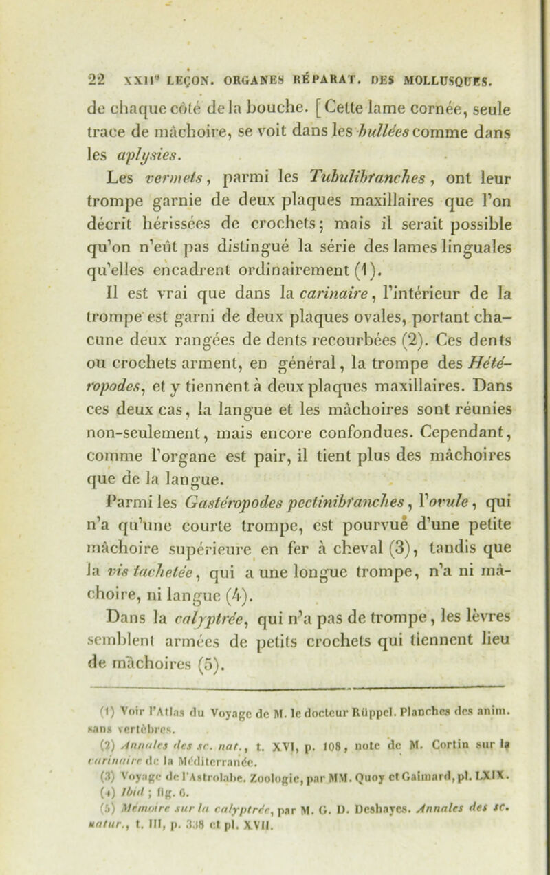 de chaque cote de la bouche. [ Cette lame cornee, seule trace de machoire, se voit dans les hulldes comme dans les aplysies. Les vermets, parmi les Tubulibranches , ont leur trompe garnie de deux plaques maxillaires que Ton deceit herissees de crochets; mais il serait possible qu’on n’eut pas distingue la serie des lames linguales qu’elles encadrent ordinairement (1). II est vrai que dans la carinaire, l’interieur de la trompe est garni de deux plaques ovales, portant cha- cune deux rangees de dents recourbees (2). Ces dents ou crochets arment, en general, la trompe des Hete- ropodes, et y tiennent a deux plaques maxillaires. Dans ces deux cas, la langue et les machoires sont reunies non-seulement, mais encore confondues. Cependant, comme Torgane est pair, il tient plus des machoires que de la langue. Parmi les Gasteropodes pcciinihf(inches, V ovule, qui n’a qu’lme courte trompe, est pourvue d’une petite machoire superieure en fer a cheval (3), tandis que la vis tachetee, qui a une longue trompe, n a ni rna- choire, ni langue (4). Dans la enlyptree, qui n’a pas de trompe , les levres semblent armees de pelits crochets qui tiennent lieu de machoires (5). (1) Voir l’Atlas flu Voyage dc M. lc doelcur Rilppel. Planches des anim. wins vcrtdbres. (2) Annulet des sc. nat., t. XVI, p. 108, note dc M. Cortin sur U carinaire dc la Mdditcrrnndc. (.1) Voyage de 1’Astrolabe. Zoologic, par MM. Quoy ctGaimard,pl. LXIX. (*) Ibid ; fig. 0. (5) Mr moire sur la cu/yptrdr, par M. G. D. Dcshaycs. Annates des SC. natur., t. Ill, p. 3;)8 et pi. XVII.