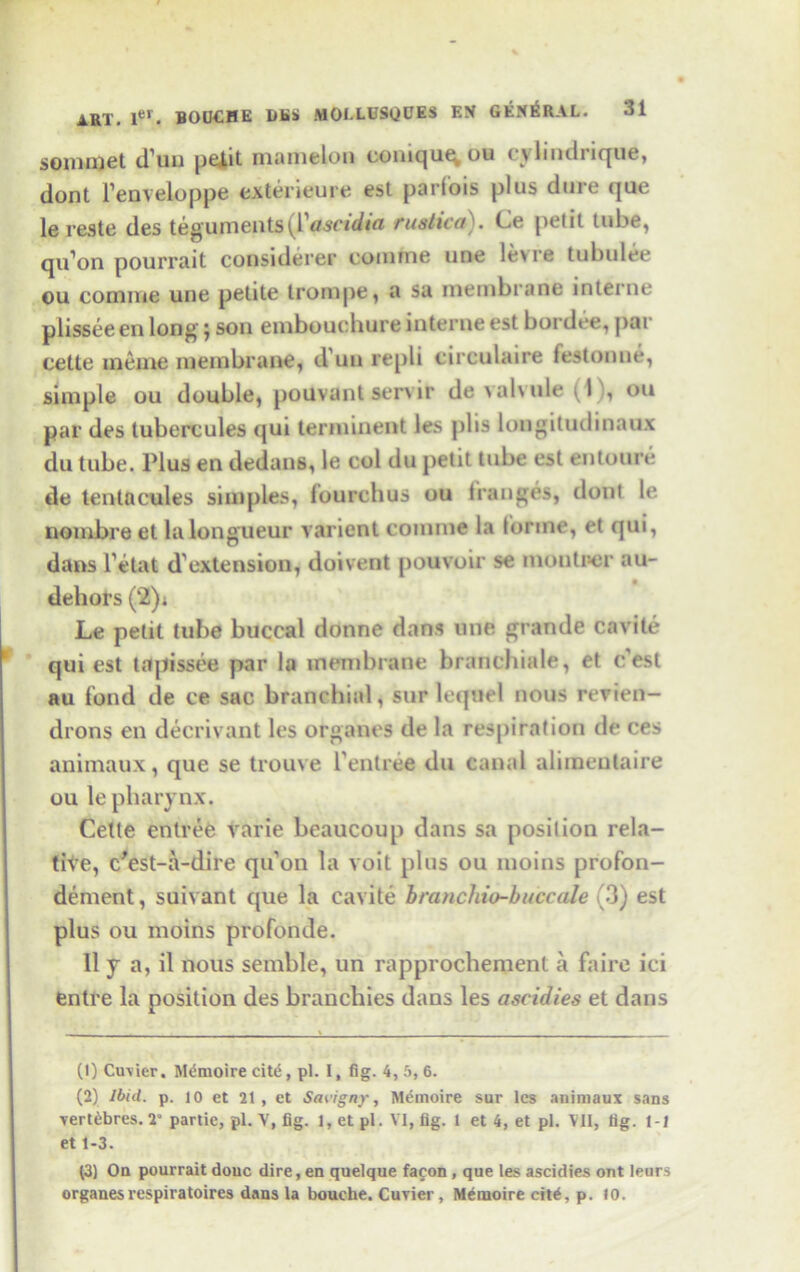 sommet d’uu petit mamelon coniqu^ou cylindriqud, dont l’enveloppe exterieure est parf'ois plus dure que lereste des teguments(Vascidta rustica). Ce petit tube, qiPon pourrait considerer cointne une lev re tubulee ou com me une petite trompe, a sa membrane interne plissee en long; son embouchure interne est bordee, par cette ineme membrane, d un repli circulaire festonne, simple ou double, pouvant servir de valvule (1 ', ou par des tubercules qui terminent les plis longitudinaux du tube. Plus en dedans, le col du petit tube est entoure de tentacules simples, (ourchus ou (ranges, dont le nombre et la longueur varient coniine la lorme, et qui, dans Petal d'extension, doivent pouvoir se montr-er au- dehors (2)* Le petit tube buccal donne dans une grande cavite qui est tapissee par la membrane branchiale, et c'est au fond de ce sac branchial, sur lequel nous revien- drons en decrivant les organes de la respiration de ces animaux, que se trouve l entree du canal alimeutaire ou le pharynx. Cette entree varie beaucoup dans sa position rela- tive, c'est-a-dire qiPou la voit plus ou inoins profon- dement, suivant que la cavite hrancliio-buccale (3) est plus ou moins profonde. II y a, il nous semble, un rapprochement a faire ici entre la position des branchies dans les ascidies et dans (1) Cuvier. M&noire cit£, pi. I, fig. 4, 5, 6. (2) Ibid. p. 10 et 21 , et Savigny, Memoire sur les animaux sans vert^bres. 2” partic, pi. V, fig. 1, et pi. VI, fig. 1 et 4, et pi. VII, tig. 1-1 et 1-3. (3) On pourrait douc dire, en quelque facon , que les ascidies ont leurs organesrespiratoires dans la bouche. Cuvier, Memoire cit^, p. 10.