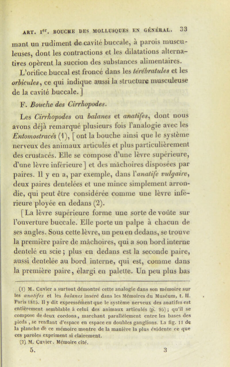 rnant un rudiment de cavile buccale, a parois muscu- leuses, dont les contractions et les dilatations alterna- tives operent la succion des substances aliinentaires. L’orilice buccal est fronce dans les terebratules et les orbicules, ce qui indique aussi la structure musculeuse de la cavile buccale. ] F. Bouche des Citrhopodes. Les Cirrhopodes ou balanes et ana/ifes, dont nous avons deja remarque plusieurs fois l’analogie avec les Entomostraces (1), [ont la bouche ainsi que le systeme nerveux des animaux articules et plus parliculierement des crustaces. File se compose d’une levre superieure, d’une levre inferieure] et des machoires disposees par paires. 11 y en a, par exemple, dans Yanaiife vulyaire, deux paires dentelees et une mince simplement arron- die, qui peut elre consideree comine une levre iufe- rieure ployee en dedans (2). [ La levre superieure forme une sorte de voute sur rouverture buccale. Elle porte un palpe a chacun de ses angles. Sous cette levre, un peu en dedans, se trouve la premiere paire de machoires, qui a son bord interne dentele en scie; plus en dedans est la seconde paire, aussi deutelee au bord interne, qui est, comme dans la premiere paire, elargi en palette. Un peu plus has (1) M. Cuvier a surtout demontre cette analogic dans son m^moire sur les anatifes et les balanes insert dans les Memoires du Museum, t. II. Paris 1815. 11 y dit express^ment que le systeme nerveux des anatifes est entterement semblable i celui des animaux articules (p. 95); qu’il se compose dedeux cordons, marchant parallfelement entre les bases des pieds , se renflant d’espace en espace en doubles ganglions. La fig. 11 de la planche de ce m&noire montre de la manure la plus ^vidente ce que ces paroles cxpriment si clairement. (2) M. Cuvier. MOmoire cite.