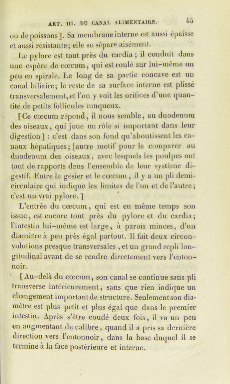 ou tic poissons ]. Sa membrane interne est aussi epaisse et aussi resistanle; elle se separe aisement. Le pylore est tout pres tlu cardia ; il conduit dans une espece de coecum, qui est roule sur lui—meme un peu en spirale. Le long de sa partie concave est un canal biliaire; le reste de sa surface interne est plisse transversalement, et Ton y voit les orifices d une quan- tile de petits follicules muqueux. [Ce coecum lvpond, il nous semble, au duodenum ties oiseaux, qui joue un role si important dans leur digestion ] : c’est dans son fond qu’aboulissent les ca- naux hepatiques; [outre motif pour le comparer au duodenum ties oiseaux, avec lesquels les poulpes onl lant de rapports dans F ensemble de leur systeine di- gestif. Entre le gesier et le coecum , il y a un pli demi- circulaire qui indique les limites de fun et de Fautre; c’est un vrai pylore. ] L’enlree du coecmn, qui est en meme temps son issue, est encore tout pres du pylore et du cardia; rintestin lui-meme est large, a parois minces, d’un diametre a peu pres egal partout. 11 fait deux circon- volutions presque transversales ,et un grand repli lon- gitudinal avant de se rendre directement vers Fenton- noir. [ Au-dela du coecum, son canal se continue sans pli transverse interieurement, sans que rien indique un changement important de structure. Seulementson dia- metre est plus petit et plus egal que dans le premier intestin. Apres s'etre coude deux fois, il va un peu en augmentant de calibre , quand il a pris sa derniere direction vers Fentonnoir, dans la base duquel il se termine a la lace poslerieure et interne.