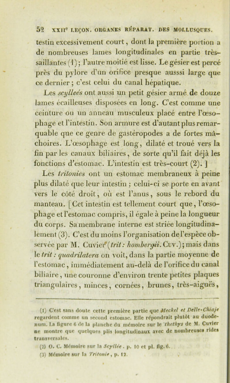 testin excessivement court, dont la premiere portion a de nombreuses lames longitudinales en parlie tres- saillantes (1); l’autre moitie est lisse. Le gesier est perce pres du pylore d’un orifice presque ausssi large que ce dernier ; c’est celui du canal hepatique. Les scyllees ont aussi un petit gesier arme de douze lames ecailleuses disposees en long. C’est comine une ceinture on un anneau musculeux place entre l’oeso- phage et finlestin. Son armure est d’autantplusremar- quable que ce genre de gasteropodes a de fortes raa- choires. L’oesophage est long, dilate et troue vers la fin paries canaux biliaires, de sorte qu’il fait deja les fonctions d'eslomac. L’intestin est tres-court (2). ] Les tritonies ont un estomac membraneux peine plus dilate que leur inlestin ; celui-ci se porte en avant vers le cote droit, oil est l’anus, sous le rebord du manteau. [Cet intestin est tellement court que, l’oeso- phage et l’estomac compris, il egale a peine la longueur du corps. Samembrane interne est striee longitudina- lement (3). C’esl du moms 1’organisation del’espece ob- servee par M. Cuvie/(£n7; hombergii. Cuv.);mais dans le frit: quadrilatera on voit, dans la partie moyenne de l’estomac, immediatement au-dela del’orificedu canal biliaire, unecouronne d’environ trente petiles plaques triangnlaires, minces, cornees, brunes, tres-aigues, (1) C’cst sans doute ccltc premiere partie que Jtleckel et Delle-Chiaje regardent cornrne un second estomac. Ellc rdpondrait plutdt au duode- num. J.a figure 6 de la planclic du mdmoirc sur le thethys de M. Cuvier nr montre que quclqucs plis Inngitudiuaux avee de nombrcusci rides transversalcs. (2) 0. C. Mdmoirc sur la ScylUe. p. 10 et pi. flf^. G. (3) Mrfmoiresur la Tritonie, p. 12. ,