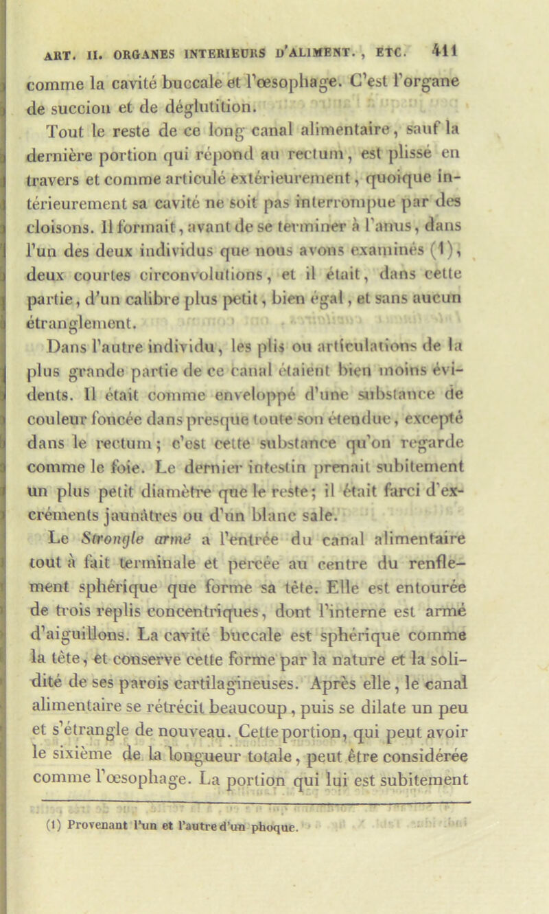 comme la cavite buccale et Tcesophage. C’est forgane de succion et de deglutition. Tout le reste de ce long canal alimentaire, sauf la derniere portion qui re pond au rectum, est plisse en travers et comme articule exterieurement, quoique in- terieurement sa cavite ne soit pas interrompue par des cloisons. 11 formait, avant de se terminer a 1'anus, dans l’un des deux individus que nous avows examines (1), deux courtes eirconvolutions, el il etait, dans cette partie, d’un calibre plus petit, bien egal, et sans aucun etranglement. Dans l’autre individu, les pi is on articulations de la plus grande partie de ce canal etaierit bien inoins evi- dents. 11 etait comme enveloppe d’une substance de couleur foncee dans presque toute son et endue, except e dans le rectum; c’est cette substance qu'on regarde comme le foie. Le dernier intestin prennit subitement un plus petit diametre qne le reste; il etait farci de- crements jaunatres on d’un Wane sale. Le Sirongle arnuf a l’entree da canal alimentaire tout a fait terminale et percee au centre du renfle- ment spherique que forme sa tete. Elle est entouree de trois replis concentriques, dont Tinterne est arme d’aiguilions. La cavite buccale est spherique comme la tete, et conserve cette forme par la nature et la soli— dite de ses parois cartilagineuses. Apres elle , le canal alimentaire se relrecit beaucoup, puis se dilate un peu et s’etrangle de nouveau. Cette portion, qui peut avoir le sixieme de La longueur totale, peut £tre consideree comme l’oesophage. La portion qui lui est subitement (1) Provenant Pun et l’autre d’un phoque.