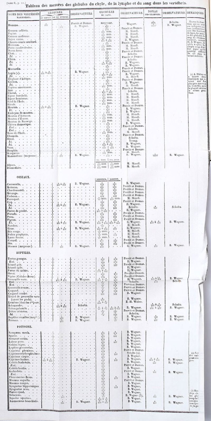 Tableau des mesures des globules da chyle, de ia lymphe et du sang dans ies vertebras. NOMS DES VERTiBRiS HABHiyiaES. Lapin (i) Id Elephant d’Afrique. Cochon Id Tapirus americanus. . Ane. Cheval Equus burcbelii. . . Equus hemionus. . Cerfdel’Inde. . . . Girafe Mouton Id Embryon de mouton. . Mouton d’Astracan. Mouton d’Ecosse. . • Mouton de Norwege. . Gb6yre domestique. . Ead Ead Boucde I’lnde. . - . Chamois. .... Boeuf. Id Id Veau Dauphin Kanguroo. .... Mammif&res (moyenne). Alpaca. . Dromadaire. Homme Guenon callilrix. . Papion Gnenon malbrouc. . Sajou cornu. . . . Chauve-souris oreillard. Herisson Potto caudivolvulus. . Nasua fusca. Chat Id Chien Id. Id Muscardin globules 3 CHTLE. D6 Ll LTMPQE- OBSERVATEURS. Prevot et Dumas. R. Wagner. R. Wagner. GLOBULES DC SA.KG. moyenne. • ifo • ■ mm. r mm. - mm. - mm. mm. *|0 '• HI/ ft 20 . * R. Wagner. til ' J58 / i ^ iio i mm. tv ’ 20( mm. _l_ -A— 1 *20 “ >60 • jf, miQ- • jjo mm* . ^ mm. , mm. mm. mm. : mm. 5 mm r mm OBSERVATEURS- Wagner. Prevfit et Dumas. M. Mandl. M Mandl. M. Mandl. R. Wagner. Prevot et Dumas. M. Mandl. M. Mandl. Prevot et Dumas. Schultz. Prevfit et Dumas. Schultz. R. Wagner. R. Wagner. Prevot et Dumas. Prevot et Dumas. R. Wagner. M. Mandl. Prevot et Dumas. R. Wagner. M. Mandl. Prevot et Dumas. Schultz. M. Mandl. M. Mandl. M. Mandl. M. Mandl. Prevfit et Dumas. R. Wagner. R, Wagner. M. Mandl. M. Mandl. M. Mandl. R. Wagner. Prevot et Dumas Schultz. M. Mandl. Prevfit et Duma9. Schullz. Young. R. Wagner. R. Wagner. Prevfit et Dumas. HI. Mandl. R. Wagner. NOYAU DBS GLOBULES. OISEAUX. Cresserelle. . . . Moineau. . . . Chardonneret. . . Mesange. . . . Corbeau Perroquet. . . Coq Id Id Foetus de poulet. . Pintade. .... Paon Pigeon Id Nandqu Grue Ibis rouge. . . . Fulica porphyrio. . Larus fuscus. Canard. .... Oie Oiseaux (moyenne). REPTILES. 1 \ -i- ioo u aoc eoo “ 600 1 A 1 600 400 R. Wagner. R. Wagner. R. Wagner. R. Wagner. M. Mandl. M. Mandl. R. Wagner. Prevfit et Dumas. Prevfit et Dumas. Prevfit et Dumas. Prevfit et Dumas. M. Mandl. Prevot et Dumas. R. Wagner. Schultz. R. Wagner. Prevfit et Dumas. Preyfit et Dumas. Prevfit et Dumas. R. Wagner. M. Mandl. R. Wagner. M. Mandl. M. Mandl. M. Mandl. Prevfit et Dumas. Prevfit el Dumas. R, Wagner. Tortue grecquo. . . Ead Lezard gris. . . . Lezard agile. . , . Fcetus du meme. . . Orvct. ..... Vipfere (ColuberBerus), Greaouille verte. . Ead Ead. ...... Grenouillerousse. . . Crapaud Crapaud cendre. . . Tetard de grenouille verte (ayant les pieds). Lcmeme(danslea i1* jours) Salamandre. . . Triton palustris. . . Triton cristatue. Id Reptiles ilecailles (moync.), Proteus. .... >00 ** 200 R. Wagner. Schultz. R. Wagner. R. Wagner. _ Prevfit et Dumas. 1 R. Wagner. m 1 Prevfit et Dumas. til R. Wagner. R, Wagner. o j _ Preyfitet Dumas. — j PreTfilet Dumas. *0 j - Ih Wagner. Schultz. - - Prevfit et Dumas. V - Prevfit et Dumas. T - - Prevfit et Dumas. Bi° 100 T R. Wagner. i R. Wagner. ii° 1 S a 8J E. H. Weber. A 1 “ 7 h l_ TVs ill R. Wagner. 1 ' —JL Prevfit et Dumas. 1L 1?8 Schultz. 72 1|4 R. Wagner. _ R. Wagner. POISSONS. ScorpEena scrofa, . . . Sparus Serranus scriba. . . . Labrus pavo Gobius niger Lophius piscatorius. Cyprinus phoxinus. . . Cyprinuserythrophtalmus. Cyprinus carpio. . . , Cyprinus barbus. . . . Cobitis barbatuln. . . Ead Cobitis fossilis Gaduslota Ead Pleuronectes flesns. . Muraena anguilla. . Murama conger. . . . Syngnatus hippocampus. Syngnatns acus. . . Foetus ejusd. ... Selaciens Squalus squatina. . . Ammocoetes braochialis. . I * R. Wagner. R. Wagner. iii 17 6 iU tV 60 . ft 4 R. Wagner. R. Wagner. R. Waguer. R. Wagner. R. Wagner. R. Wagner. Prevfit et Dumas. Schultz (a). R. Wagner. R. Wagner. R. Wagner. Prevfit et Dumas. R. Wagner. Prevot et Dumas. R. Wagner. R- Wagner. Prevfit el Dumas. R. Wagner. R- Wagner. R. Wagner. R- Wagner. R. Wagner (5), IU Wagner. R- Wagner. OBSERVATEURS. REMARQUES Schultz. R. Wagner. 4 LL 600 “ 40( lil** Toutes les frac- tions qui ue sont pas indiaueos par mm. (millimetres) sont des fractions do ligne. La mesu. ro des globules du saug de l'hotntnc variernit, suivant M. n.\Vagoer) de i/a5o h i/5oo L( simple coup d'tei fait juger qu*ii peuvent differe de i/3 daus 1 ImCine individu. (0 J. MQller i trouvfi dans ’embryon qui 6- taient une fois plus groa que ceux dc I’adalte; mais la plupart evaient la mfime gran- deur. R. Wagner. Schultz. fl. Wagner. R. Wagoer. Schullz. Schultz. R. Wagner. R. Wagner. R. Wagner. R- Wagner. R- Wagner. R. Wagner. R. Wagner. R. Wagner. (q) Les des emu pai^issea groB. (3) Hc\ dtija obi los clol sangde I presquo augsigro de.lo grt
