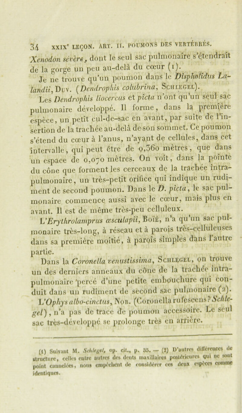 Xenodon severe, clout le seul sac pulnionaire s etendrait de la gorge un pen au-deli du coeur (i). Jc nc trouve (^u*un poiinion dans le Dtspfwtidus L(i— /am/n,Duv. {Dendroplus colubrina, Schi-egel). Dendrnpkis liocercus et picta n’ont cpiun seul sac puluioiiaire developpe. 11 lorrne, dans la premiere espece, un petit cul-de-sac en avant, par suite de I’in- sertion de la trachee au-deli de son sommet. Ce poumon s’etend du cceur a I’anus, n’aya.nt de cellules, dans cet intervalle, qui pent 6tre de o,36o metres, que dans un espace de 0,070 metres. On voit, dans la pointc du cone que forment les cerceaux de la trachee intra- pulmonaire, un tres-petit orifice qui indique un rudi- ment de second poumon. Dans le I), pictu^ le sac pul— monaire commence aussi avec le coeur, inais plus en avant. 11 cst de meme tres-peu celluleux. UErythrolamprus ccsculapii, Boie, n a qu un sac pul- monaire tres-long, a reseau et k parois tri!;s-ccllulcuscs dans sa premiere moitie, k parois simples dans 1 autre partie. Dans la Coronella venustissima, Sciilegel, on trouve un des derniers anneaux du cdne de la traclidc intra- pulrnonaire 'pcrce d’une petite embouchure qui con- duit dans un rudiment de second sac pulnionaire (2). Jj’Ophys (ilbo-cinctus. Nor. (Coronella rufesccns?6c/i/c?- gel) , n’a pas de trace de poumon accessoire. Le seul sac trcs-dcveloppe sc proloiige Ires cn arricre. (1) Suiv.inl M. Schifsel. «p. ciU, p. 33. — (2) D’aulrrs dilTOrcuccs <lc slnictiirc, ccllfs nilrc autrcn des dciiU inaxilluiics poslL'ricurcs qui nc sonl poinl canncli-e», non* cni|Mclicnt dc ronshk'n-r re* deux i-ipi-ccs romme idrntiqiic*.