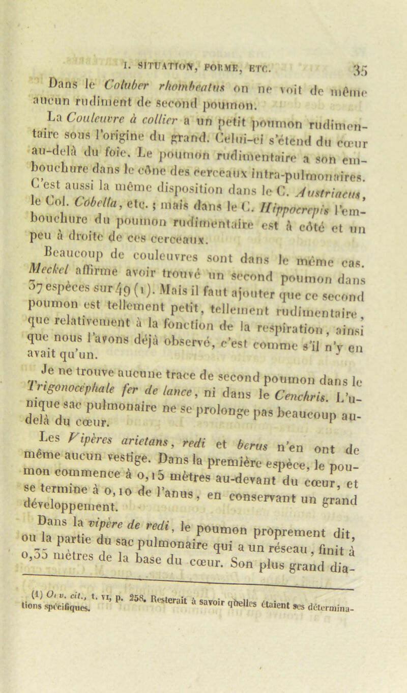 3f> Dans le Coluber rhomhealux nn no u>it do niOmo aneun rndiinent do second pouinon. La Coulcuvre h collier a tin petit jionrnon nidinien- tairc sons lorigine du p:rand. CeluUd s’etend dii canir an-ddi\ du foie. Le poimion rudimentaire a son ein- boucliiire dans Ic cAne des oerceanx intra-piilrnonaires. r '•'^P^sition dans le C. Austrincu,, e Col. Cobella, etc.; inais dans le C. Uippocrepis I’em- boii ell lire dn pouinon rudimentaire cst A edtd et im pen a droite de ces cerceaux. lieaiicm,,, de couleuvres sent dans le memc caa. Meckel a(I,r,ne avoir trouve un second ponmon dans nyespices snr/,{,(,). M„|, p f„„ P«»™on est tellcnen, pe.i., .elicnen, rudi.nentairr quo relat.vement a la lone,ion de la respiration, ainsi TaitqTu.n> <='■ Je ne trouve aucune trace de second pomnon dans le Ittgomcephale /er de lance, ni dans le CenchrU I 'u drdnr!.’“'' Les Fiperes arietans, redi et berm n'en ont de ^me aucun vestige. Dans la premiere esiiece, le pou- mon commence ^ o,,5 mitres au-devant\u ^muret <liveToppem«t’.’” gfand o.Hn nVr Proprement dit o«_la partie du sac pulmonaire qui a un rdseau Q„i ■ 0,00 metres de la base du emul Son plus gm! dia- «.™ ^ tuien...