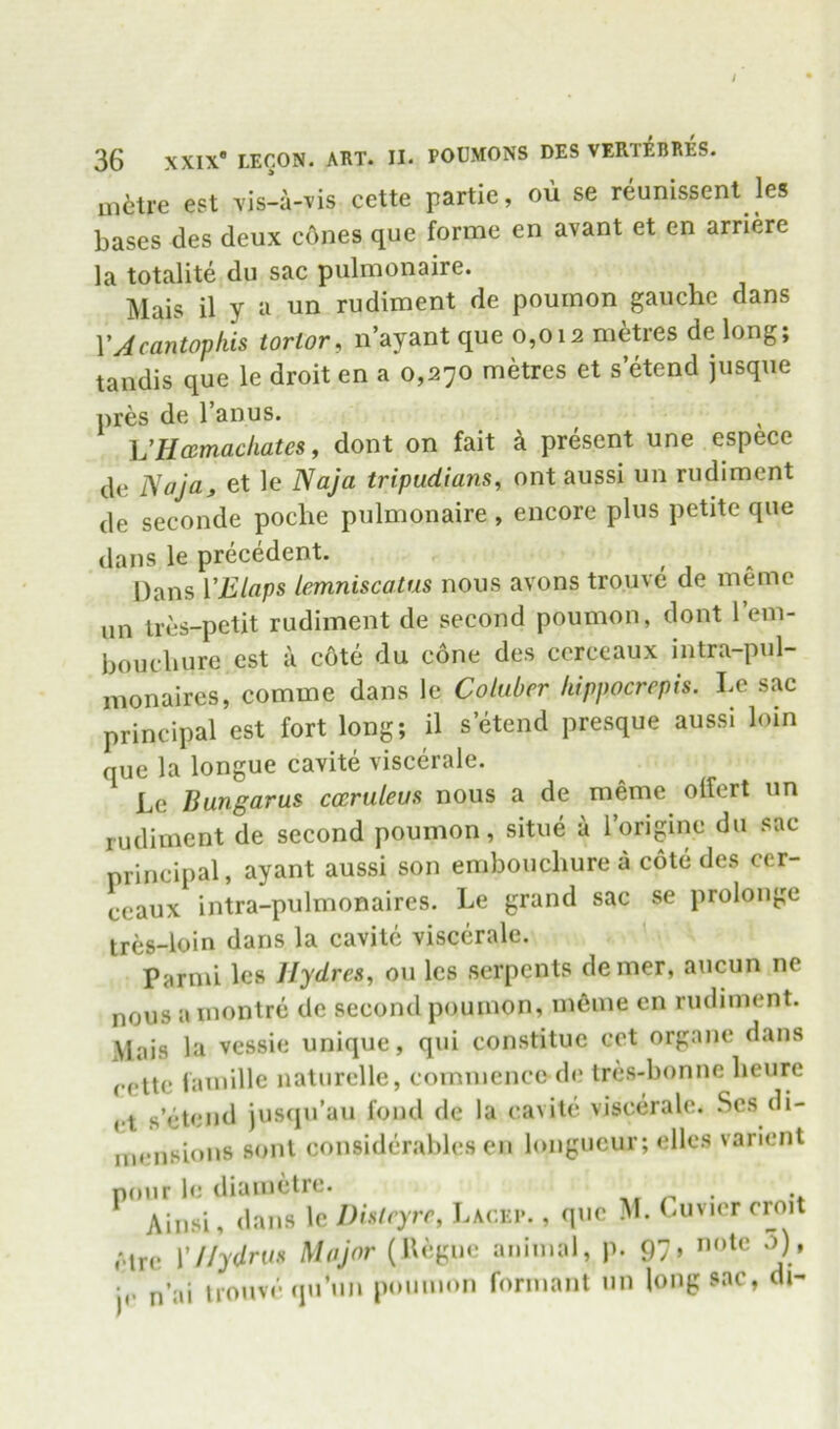 / 36 XXIX* LECON. ART. II. POUMONS DES VERTEBRES. Ui6tre est vis-a-vis cette partie, oii se reunissenl les bases des deux cdnes que forme en avant et en arriere la totalite du sac pulmonaire. Mais il y a un rudiment de poumon gauche dans VAcantopkis tortor, n’ayant que 0,012 m^res de long; tandis que le droit en a 0,270 metres et s’etend jiisque pres de I’anus. VHamachates, dont on fait k present une espece de Naja, et le Naja tripudians^ ont aussi un rudiment cle seconde poche pulmonaire , encore plus petite que dans le precedent. Dans VElaps lemniscatus nous avons trouve de memo un ires-petit rudiment de second poumon, dont I’em- bouchure est a c6te du cone des cerceaux intra-pul- monaires, comme dans le Coluber kippocrepis. Le sac principal est fort long; il s’^end presque aussi loin que la longue cavite viscerale. Le Bungarus cceruleus nous a de meme olfert un rudiment de second poumon, situe a I’origine du sac principal, ayant aussi son embouchure a cote des cer- ceaux intra-pulmonaires. Le grand sac se proloiige tres-loin dans la cavite viscerale. Parmi les llydres, ou les serpents demer, aucun ne nous a inontre de second poumon, m6me en rudiment. Mais la vessie unique, qui constituc cet orgaue dans (•cite iamille natiirelle, commence de tres-bonne heure ct s’etend jus(ju’au fond de la cavite viscerale. .Scs di- mensions soul considerables en longueur; elles vanent pour le diainetre. r- • •» Aiiisi, dans le DIsleyre, Lacep. , quo M. Cuvier croit ctre yilydrus Major (Uegne animal, p. 97, n'ltc o), jc n’ai trouve qu’nn poumon formant un long sac, di-
