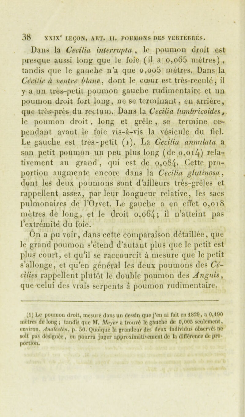 d Dans la Cecilia interrupta , le jjoumoii droit est presque aussi long que le foie (il a o,o65 metres) , tandis que le ganebe n’a que o,oo5 metres. Dans la Cecilie d ventre Olanc, dont le eccur est tres-reeule, il y a un tres-petit poumon gauche rudimentaire et un ])oumon droit fort long, ne se terminant, en arriere, que tres-pres du rectum. Dans la Cecilia lutnbricoid.es, le poumon droit , long et grele , sc tcrmine ce- pendant avant le foie vis-a-vis la vesicule du fiel. Le gauche est tres-petit (i). La Cecilia annulata a son petit poumon un peu plus long (de o,oi4) rela- tivement au grand, qui est de 0,084^ Cette pro- jiortion augrnente encore dans la Cecilia glutinosa, dont les deux poumons sont d’ailleurs tres-greles et rappellent assez, par leur longueur relative, les sacs pulmonaires de TOrvet. Le gauche a en elTet 0,018 metres de long, et le droit 0,064; il n’atteint pas rextrcmite du foie. On a pu voir, dans cette comparaison detaillee, que le grand poumon s’etend d’autaut plus que le petit est plus court, et qu’il se raccourcit a mcsure que le petit s’allonge, et qu'en general les deux poumons des Ce- cilies rappellent plutot le double poumon des Anguis, que^eelui des vrais serpents a poumon rudimentaire. (1) Le poumon droit, mc5ur6 dans un dcssin que j’en ai fait en 1829, a 0,190 inMres de long ; tandis que M. Mayer a Irouvd Ic gaiiclie de 0,005 sculemcnt, enTiron. Analcclcn, p. 50. Quolque la grandeur des deux Individus observes nc soil pas d<5slgii6!, on pourra juger approxiinali>eineiit dc la diWrence de pro- portion.
