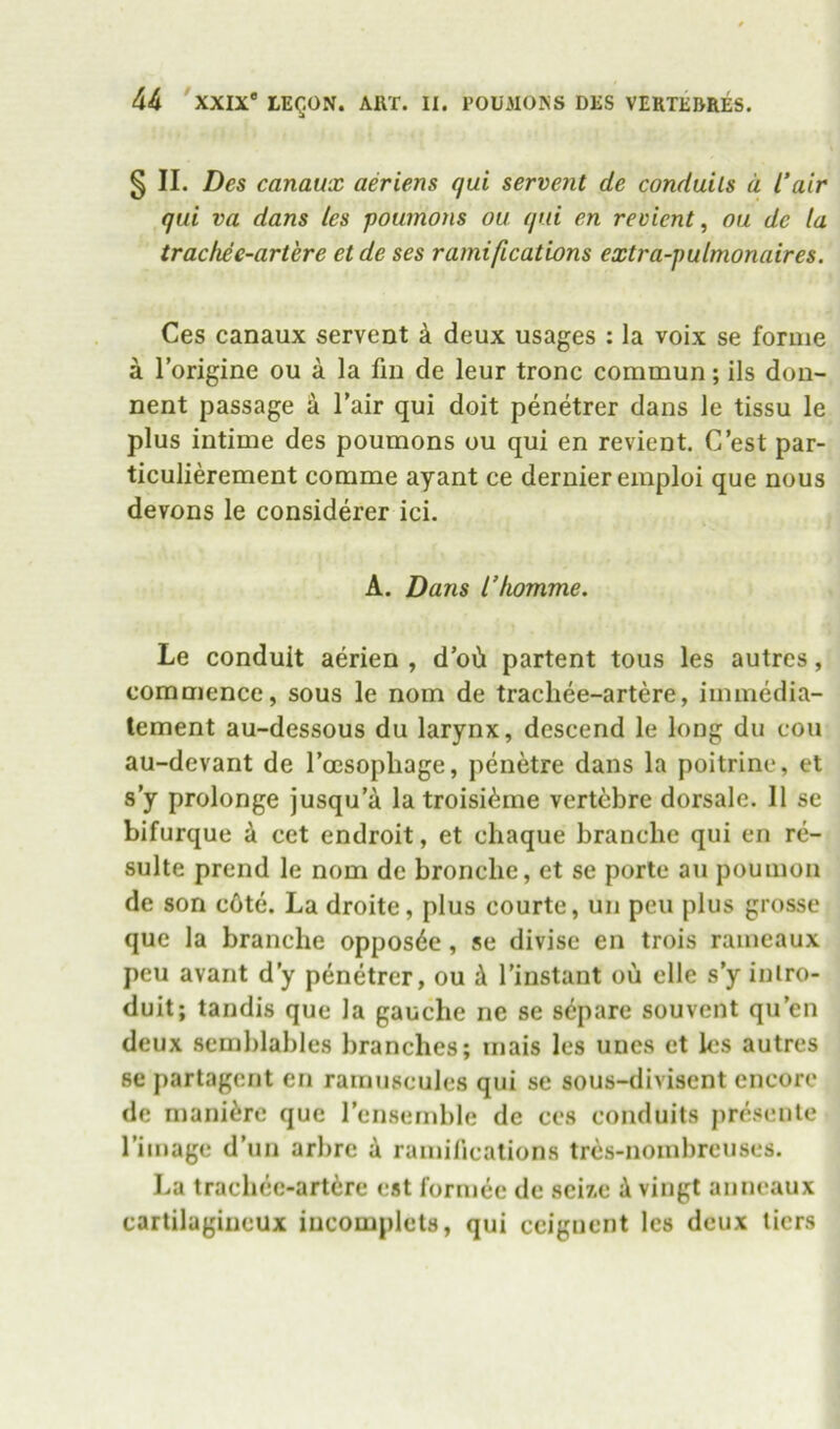 Sii. Des canaux aeriens qui serve?it de conduits d Vair qui va dans les poumons ou. qui en recient, oa de la trackee-artere et de ses ramifications extra-pulmonaires. Ces canaux servent k deux usages : la voix se forme a I’origine ou a la fm de leur tronc commun; ils doii- nent passage a I’air qui doit penetrer dans le tissu le plus intime des poumons ou qui en revient. C’est par- ticulierement comme ayant ce dernier eraploi que nous devons le considerer ici. A. Dans I’homme. Le conduit aerien , d’oii partent tons les autrcs, commence, sous le nom de trachee-artere, immedia- tement au-dessous du larynx, descend le long du cou au-devant de roesophage, penetre dans la poitrine, et s’y prolonge jusqu'a la troisi^me vert^bre dorsale. II se bifurque k cet endroit, et chaque brancbe qui en re- sulte prend le nom de broncbe, et se porte au poumon de son cOte. La droite, plus courte, un pen plus grosse que la brancbe oppos^e, se divise en trois rameaux peu avant d y penetrer, ou A I’iustant ou elle s’y iniro- duit; tandis que la gauche ne se s(^pare souvent qu’en deux semblables branches; inais les uncs et les autres se partagcnt en rainuscules qui se sous-divisent encore de mani^re que rensernble de ces conduits presenle I’image d’uii arbre k ramilications tres-iiombrcuses. La trachec-art6re est formec de sci/.e k vingt anneaux cartilagiueux iucomplets, qui ccignent les deux tiers