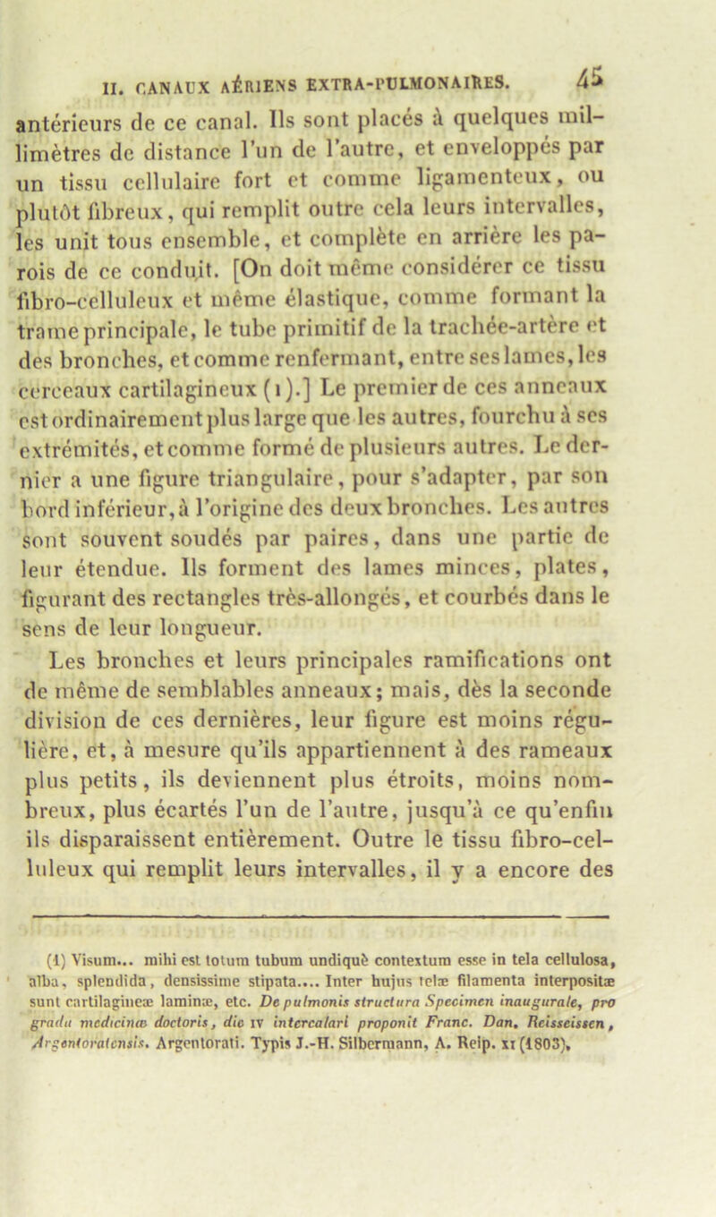 anterieurs de ce canal. Us sont places i quelqucs mil- limetres de distance Tun de Tautre, et enveloppes par iin tissii cellulaire fort et comme lifjamentcux, ou plutdt fibreux, qui remplit outre cela leurs intervalles, les unit tons ensemble, et complete en arriere les pa- rois de ce condujt. [On doit meme considerer ce tissu libro-celluleux et meme elastique, comme formant la trameprincipale, Ic tube primitif de la Irachee-artere et des bronches, et comme renfermant, entre ses lames, les cerceaux cartilagineux (i).] Le premier de ces anncaux cstordinairementjdus large que les autres, fourcbuises extremites, et comme forme de plusieurs autres. Le der- nier a line figure triangulaire, pour s’adapter, par son bord inferieur,a Torigine des deux bronches. Les autres sont souvent sondes par paires, dans une partie de leur etendue. 11s forment des lames minces, plates, figurant des rectangles tres-allonges, et courbes dans le sens de leur longueur. Les bronches et leurs principales ramifications ont de m^me de semblables anneaux; mais, d^s la seconde division de ces dernieres, leur figure est moins regu- liere, et, a mesure qu’ils appartiennent a des rameaux plus petits, ils deviennent plus etroits, moins nom- breux, plus ecartes I’un de I’aiitre, jusqu’a ce qu’enfm ils disparaissent entierement. Outre le tissu fibro-cel- luleux qui remplit leurs intervalles, il y a encore des (1) Visum... raihi csl totum tubum undiqu^ contexlura esse in tela cellulosa, ’ alba, sptendida, densissime stipata.... Inter hujus tel® filamenta interposit® sunt cartilagiiie® lamin®, etc. De pulmonis struct ura Specimen inaugurate, pro grndit medicinm doctoris, die iv intercalari proponit Franc. Dan, Jicisseisten, Argentoratcnsis, Argentorati. Tj'pis J.-H. Silbcrmann, A. Reip. xi (1803),