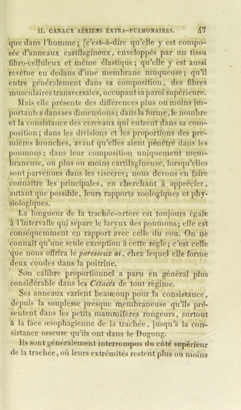 qiie dans riionime; [c’cst-A-dirc qu’clie y est compo- s6e d’anneaux cartilagineux, cnvelopp^s par un tissu fd^ro-cellulcux et ni6nie (^lastiqnc; qii’elle y est aussi revetiie en dedans d’uno membrane mnqueuse; qn’il entre gencralement dans sa composition, dcs fibres mnsciilaires transversales, occupant sa paroi siipi^rieure. Mais elle piesente des differences plus ou moins im- portantes dansses dimensions; dansla forme, le noinbr«‘ ct la consistance des cerceaux qui entrent dans sa com- position; dans les divisions ct Ics proportions des pre- mieres bronches, avant qu’cllcs aient penetn' dans les poiimous; dans leur composition uniqnement mein- braneuse, ou plus ou moins cartilagineuse, lorsqu’clles sont parvenues dans les visceres; nous devons en faire connaitre les principales, en cberchant a apprecier, autant qne possible, leiirs rapports zoologiques ct phy- siologiques. La longueur de la tracbe^c-artere est toujours egale a I’interAalle qui separe le larynx des poumons; elle est consequemment en rapport avec celle du coii. On ne connait qu’une seule exception h cette regie; e’est celle que nous offiira le paresseux at, cbez lequel elle forme deux coudes dans la poitrine. Son calibre proportionnel a paru en general plus considerable dans les Cetac^s de tout regime. Ses anneaux varient beaucoup pour la consistance, depuis la souplesse presque membraneuse qu’ils prd- sentent dans les petits mammiferes rongeurs, surtout cl la face oesopbagienne de la tracbee, jusqu’k la con- sistance osseuse qu’ils ont dans le Dugong. Ils sont generalement interrompus du cote superieur de la tracbee, ou leurs extremites restent plus ou moins