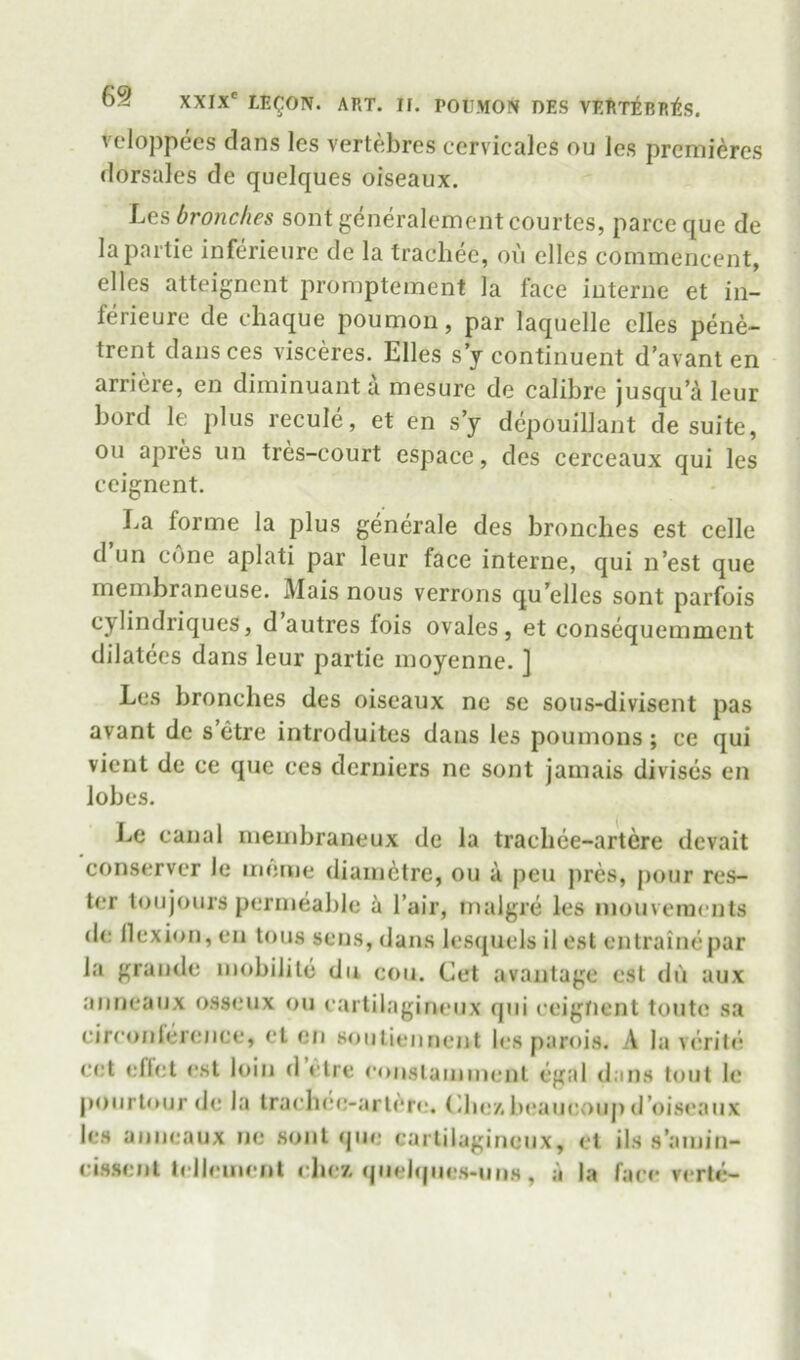 vcloppecs clans les vertebres cervicalcs on les premieres (lorsales de quelques oiseaux. Les bronches sont generalementcourtes, parce que de lapaitie inferieure de la tracliee, on elles commencent, elles atteigncnt promptement la face interne et in- ferieure de cdiaque poumon, par laquelle elles pene- trent dans ces visceres. Elles s y continuent d'avant en arriere, en diminuanta mesure de calibre jusqu’A leur bord le plus recule, et en sy dcpouillant de suite, Oil apres un tres-court espace, des cerceaux qui les ceignent. La forme la plus generale des bronches est celle d un cone aplati par leur face interne, qui n’est que membraneuse. Mais nous verrons qu’elles sont parfois cylindriques, d autres fois ovales, et consequemment dilatccs dans leur partie moyenne. ] Les bronches des oiseaux ne se sous-divisent pas avant de s’etre introduites dans les poumons; ce qui vient de ce que ces derniers nc sont jamais diviscs en lobes. Le canal membraneux de la trachee-artere devait conserver le meme diametre, ou a pen jires, jiour res- ter toujours permeable a I’air, malgre les niouveracnls de llexion, en tons sens, dans lesipiels 11 est entrainepar la grande inobilile du con. Get avantage est du aux anneaux osseux ou cartilagineux qui ceiglient toute sa circonlerence, et en soutiennent b;s parois. A la verite cet eftet est loin d etre e<mslamin(ml egal dans tout le ponrtourde la traelKic-arlen*. Ghe/.b(?aueouj)(roiseaux les anneaux ne sont que cartilagineux, el ils s’amin- cis.senl telleiiient ehez, quel(|ues-uns, ;i la face verte-