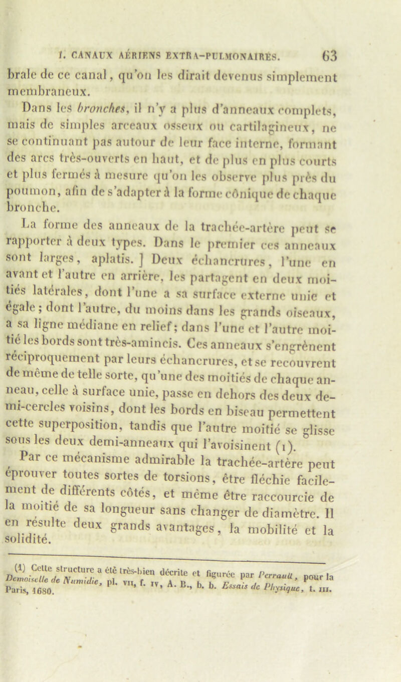 bralc de ce canal, qu’on les dirait devenus simplement mcnibraneux. Dans Ics branches, il n’y a plus d’anneaux complets, niais dc simples arceanx osseux on cartilagineux, ne se continuant pas aiitour de leur face interne, formant des arcs tr^s-ouvcrls en haut, et de plus en plus courts et plus fermes A mesure qu’on les observe plus pr^s dii poumon, afm des’adaptcrd la forme cAniquedechaquc bronche. ba forme des anneaux de la tracliee-artcre pent se raj)porter deux types. Dans le premier ces anneaux sont larges, aplatis. ] Deux ecliancriircs, Tune en avant et I’autre en arriere, les partagent en deux moi- lies lat^rales, dont 1 one a sa surface externe unie et egale ; dont 1 autre, du moins dans les grands oiscaux, a sa ligne mediane en relief; dans Tune et I’autre inoi- tie les bords sont tres-amincis. Ces anneaux s’engr^nent reciproquement par lours ecliancrures, etse recouvrent de meme de telle sorte, qu’une des moities de chaque an- neau, celle a surface unie, passe en dehors des deux de- mi-cercles voisins, dont les bords en biseau permettent cette superposition, tandis que I’autre moitie se glisse sous les deux demi-anneaux qui I’avoisinent (i). Par ce mecanisme admirable la trachee-artere pent eprouver toutes sortes de torsions, etre flechie facile- ment de differents c6tes, et meme ^tre raccourcie de la moitie de sa longueur sans changer de diam^re. II en resulte deux grands avantages, la mobilite et la (1) Celle structure a el6 Ires-hien decrite Demmsclle de Niimidie, pi, vn, f. ly A B Paris, 4680. ’ et figurce par PerrauU, pour la b, b. Essais dc Physique, t. iii.