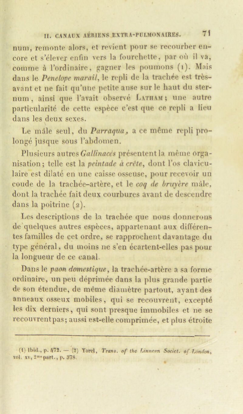 nuni, remonte alors, et rev lent pour se recoiirber en- core et s’elever enfin vers la foiirchelte, par m'l il va, comme k Tordiiiaire, gagner les poumons (i). Mais dans le- Penelope marail, le repli de la traduce est tres- avant et ne fait qn’niie petite anse sur le haut dii ster- num , ainsi qne I’avait observe Latham ; nne autre particularite de cette esp^ce c’est que ce repli a lieu dans les deux sexes. \ Le mde seul, du Parraqua, a ce mfime repli pro- longe jusque sous rabdonien. Plusieurs autres presentent la meine orga- nisation ; telle est la peintade d crHe, dont I’os clavicu- laire est dilate en une caisse osseuse, pour recevoir un coude de la tracliee-artde, et le coq de bruyere male, dont la tracliee fait deux courburcs avant de descendrc dans la poitiine (2). Les descriptions de la trachee que nous donnerons de'quelques autres especes, apparlenant aux differen- tes families de cet ordre, se rapprocbent davantage du type gdidal, du inoins ne sen ecartent-elles pas pour la longueur de ce canal. Dans le paon domestique, la trachee-art^^re a sa forme ordinaire, un pen deprimee dans la plus grande partie de son etendue, de m^me diametre partout, avant des anneaux osseux mobiles, qui se recouvrent, excepte les dix derniers, qui sont presque iminobiles et ne se recouvrentpas; aussi est-eile comprimee, et plus etroite (1) Ibid., p. 472.— (2) Ynrel, Trans, of the Linnean Socicl. of lyondon., Tol. xv,2“*part.,p. 378.