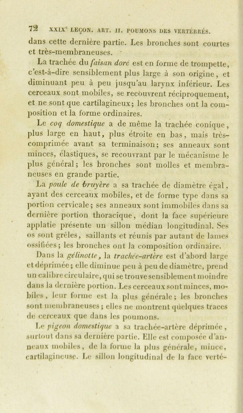 dans cette derniere partie. Les bronclies sont courtes et tres-membraneuses. * La trachee du /aisa?i dore est en forme de trompette, c’est-a-dire sensiblement plus large a son origine, et diminuant peu a peu jusqu’au larynx inferieur. Les cerceaux sont mobiles, se recbuvrent reciproquement, et ne sontque cartilagineux; les bronclies ont la com- position et la forme ordinaires. Le coq domestique a de meme la trachee conique, plus large en haut, plus etroite en bas, mais tres- comprimee avant sa terminaison; scs anneaux sont minces, elastiques, se recouvrant par le mecanisme le plus general; les bronclies sont molles et membra- neuses en grande partie. La poule de hruyere a sa trachee de diametre egal. ayant des cerceaux mobiles, et de forme type dans sa portion cervicale; ses anneaux sont immobiles dans sa derniere portion thoracique, dont la face superieure apjilatie presente un sillon median longitudinal. Scs os sont grelcs, saillaiits et reunis par autant de lames ossiliees; les bronclies ont la composition ordinaire. Dans la gelinolte, la trachce-artere est d’abord large ctdejirimee; ellediminue peu a peu de diametre, prend un calibrecirculaire,quise trouvesensiblement moindre dans la derniere portion. Les cerceaux sont minces, mo- biles , leur forme est la plus generale; les bronclies sont membraneuses; elles ne montrent quel([ues traces de cerceaux que dans les poumons. I.e pigeon domestique a sa trachec-arlere deprimee, .surtoiit dans sa derniere partie. Idle csl eomposee d’an- neaiix mobili.'s, de la forme la plus generale, mince, cartilagineuse. he sillon longitudinal de la face verte-
